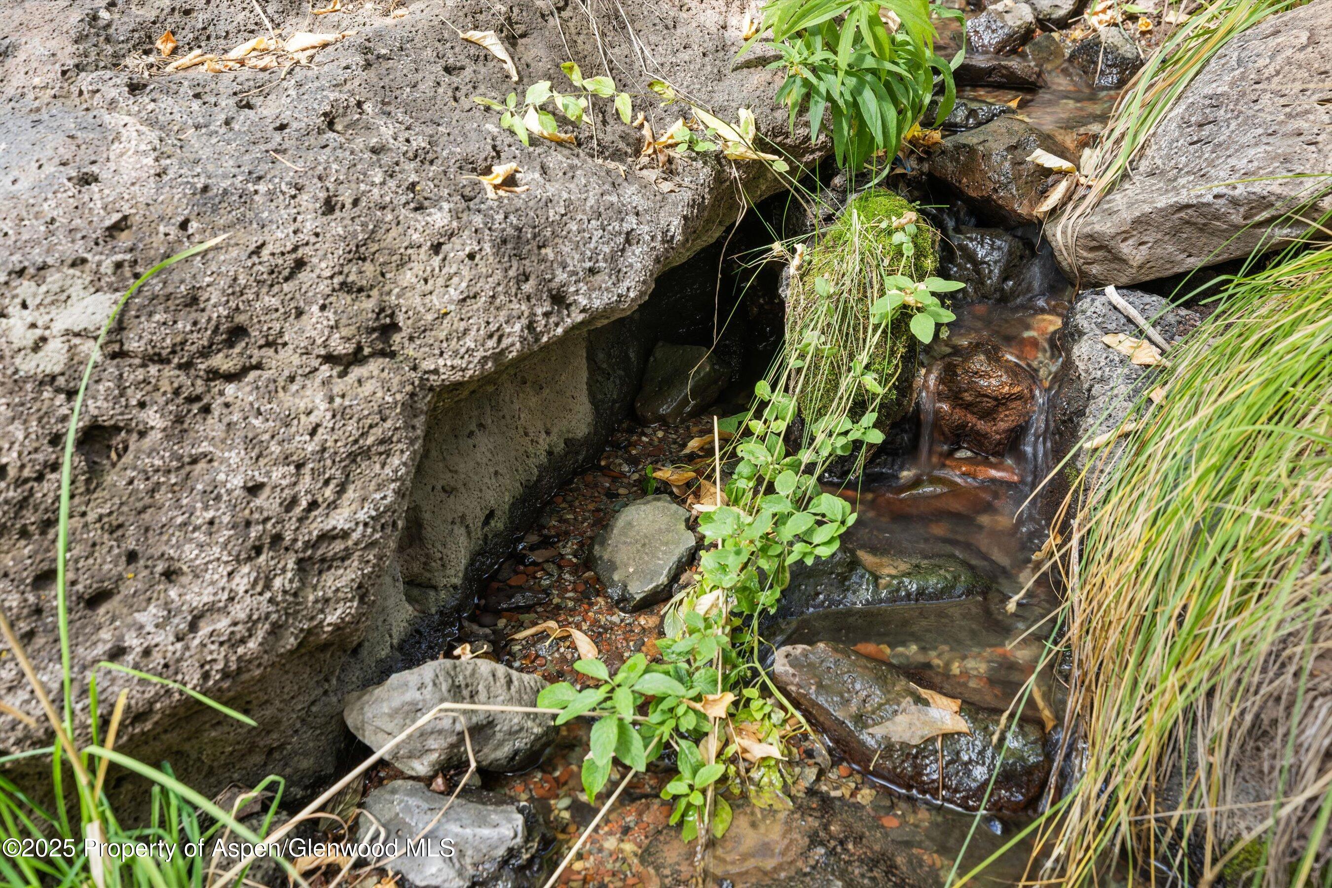 635 Cedar Drive Basalt CO 81621