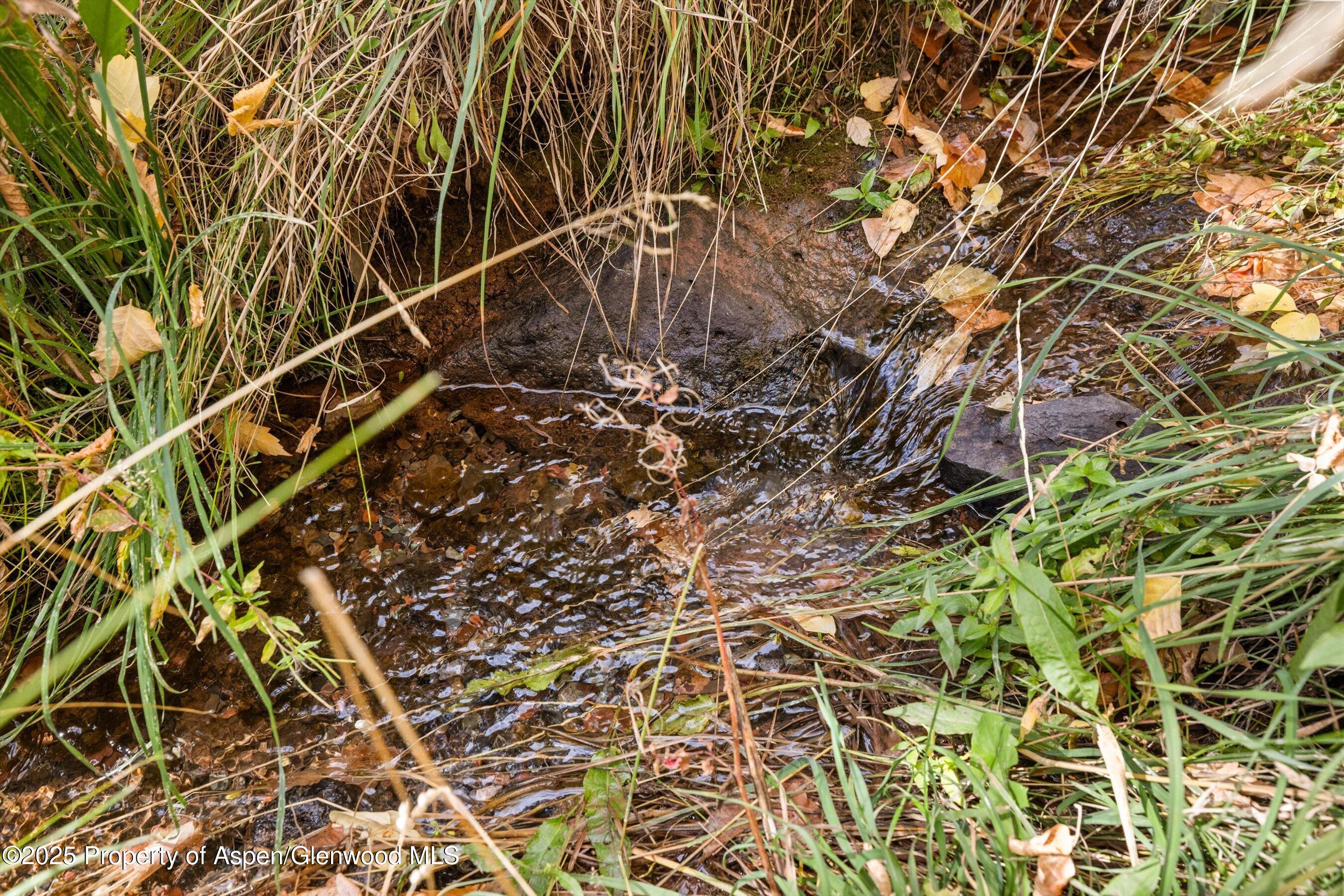 635 Cedar Drive Basalt CO 81621