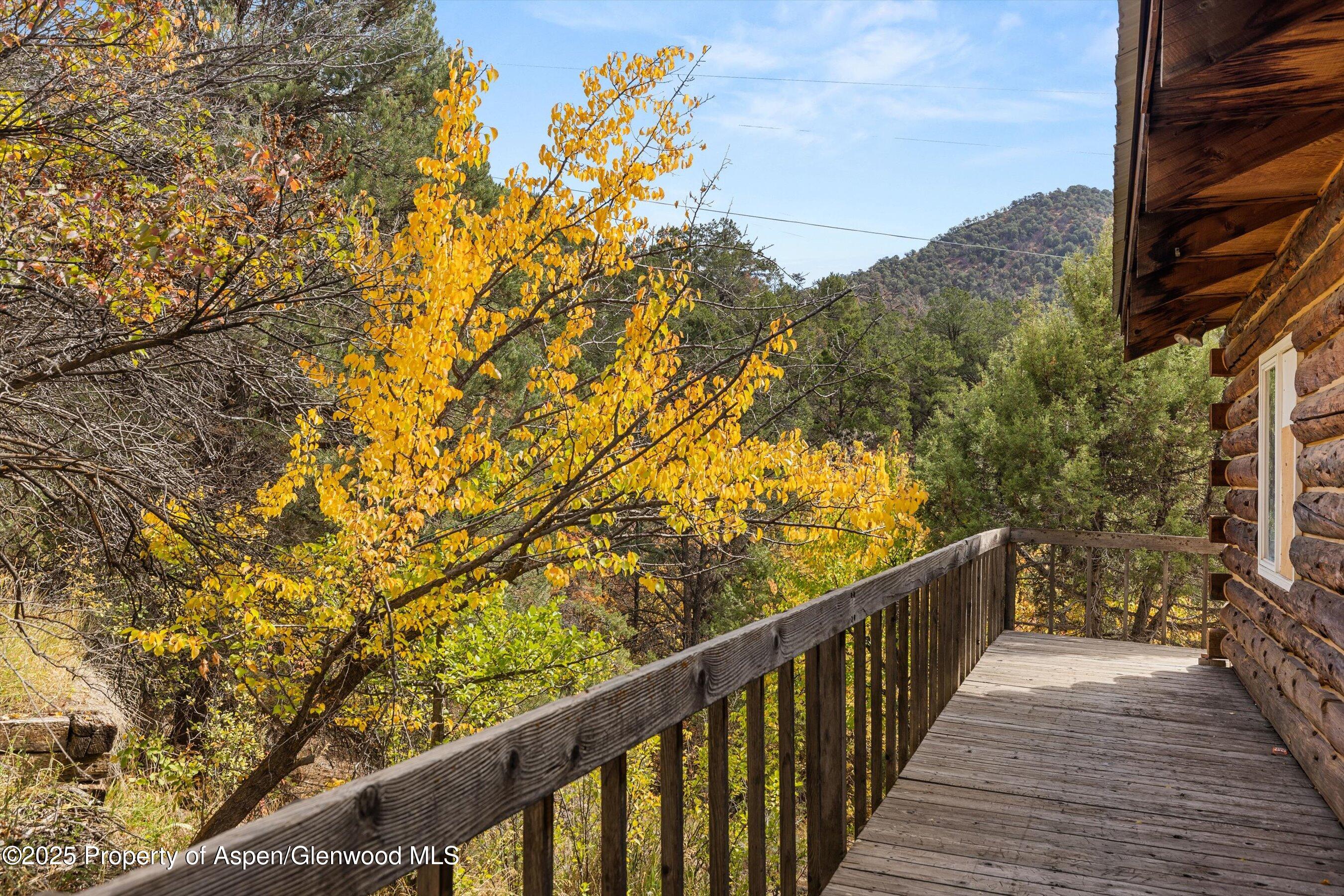 635 Cedar Drive Basalt CO 81621