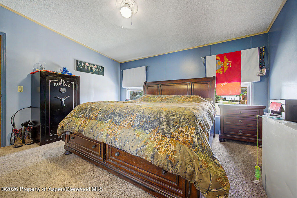 587 Conner Drive Craig CO 81625