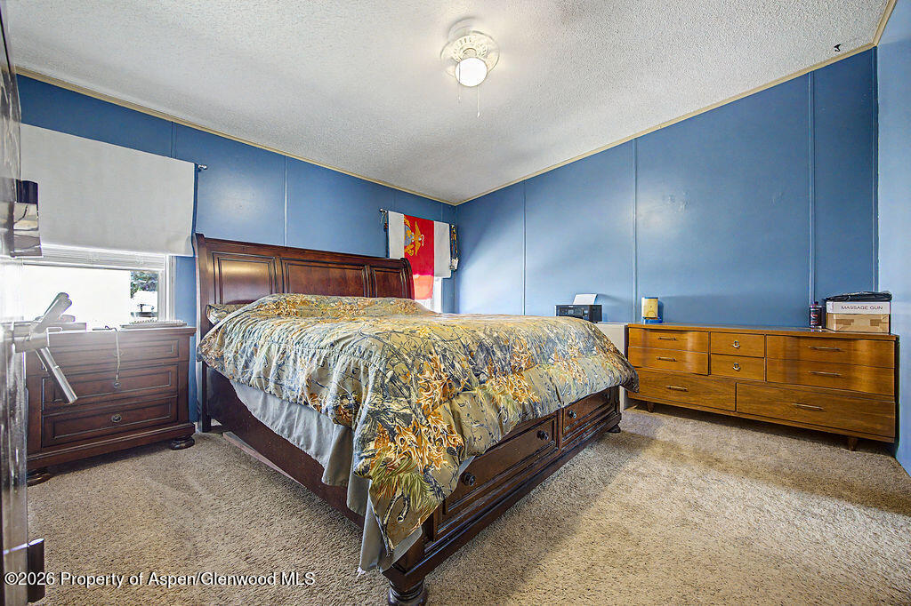 587 Conner Drive Craig CO 81625