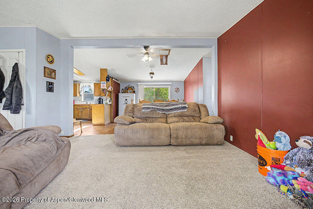 587 Conner Drive Craig CO 81625