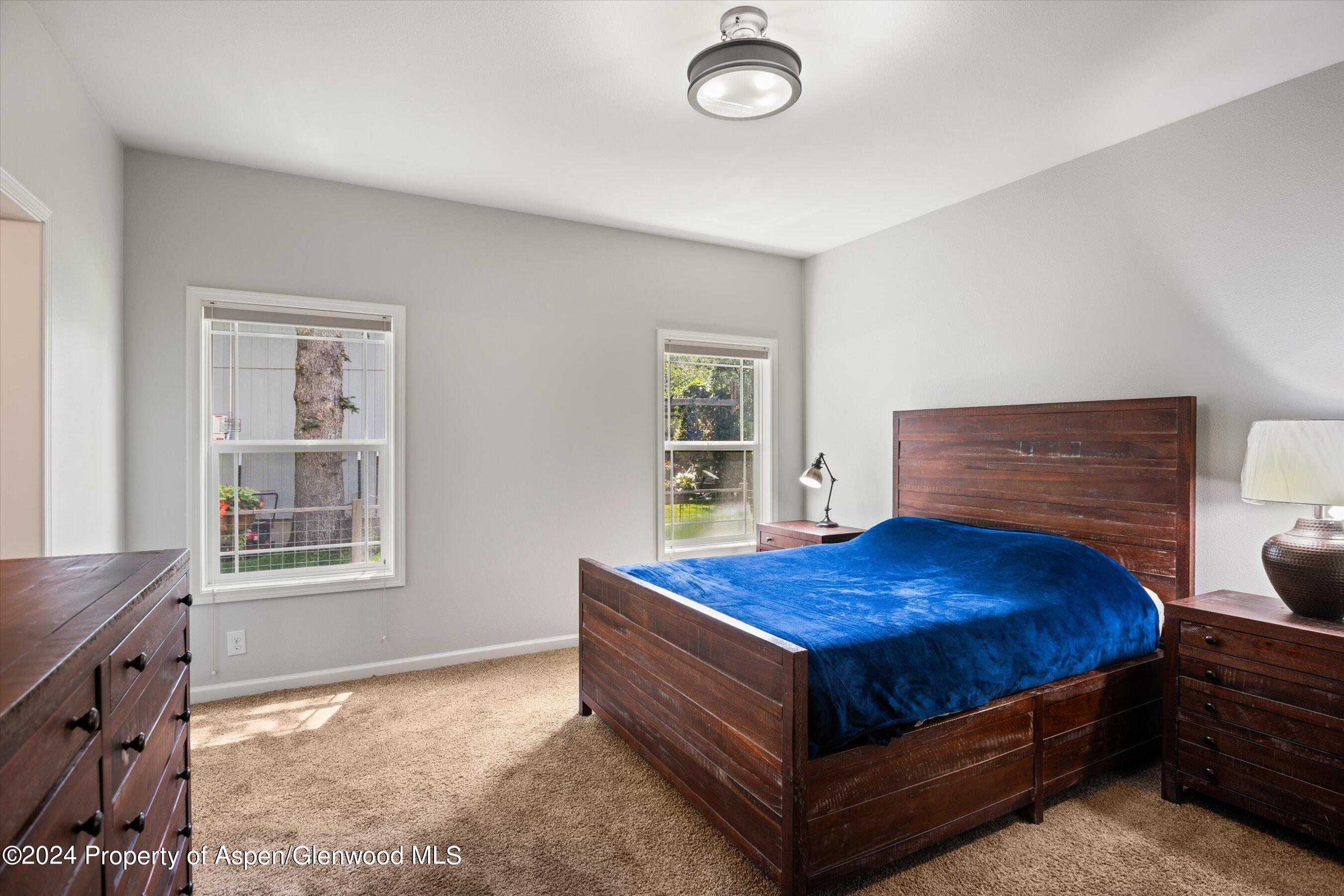 29 Bear Trail Aspen CO 81611