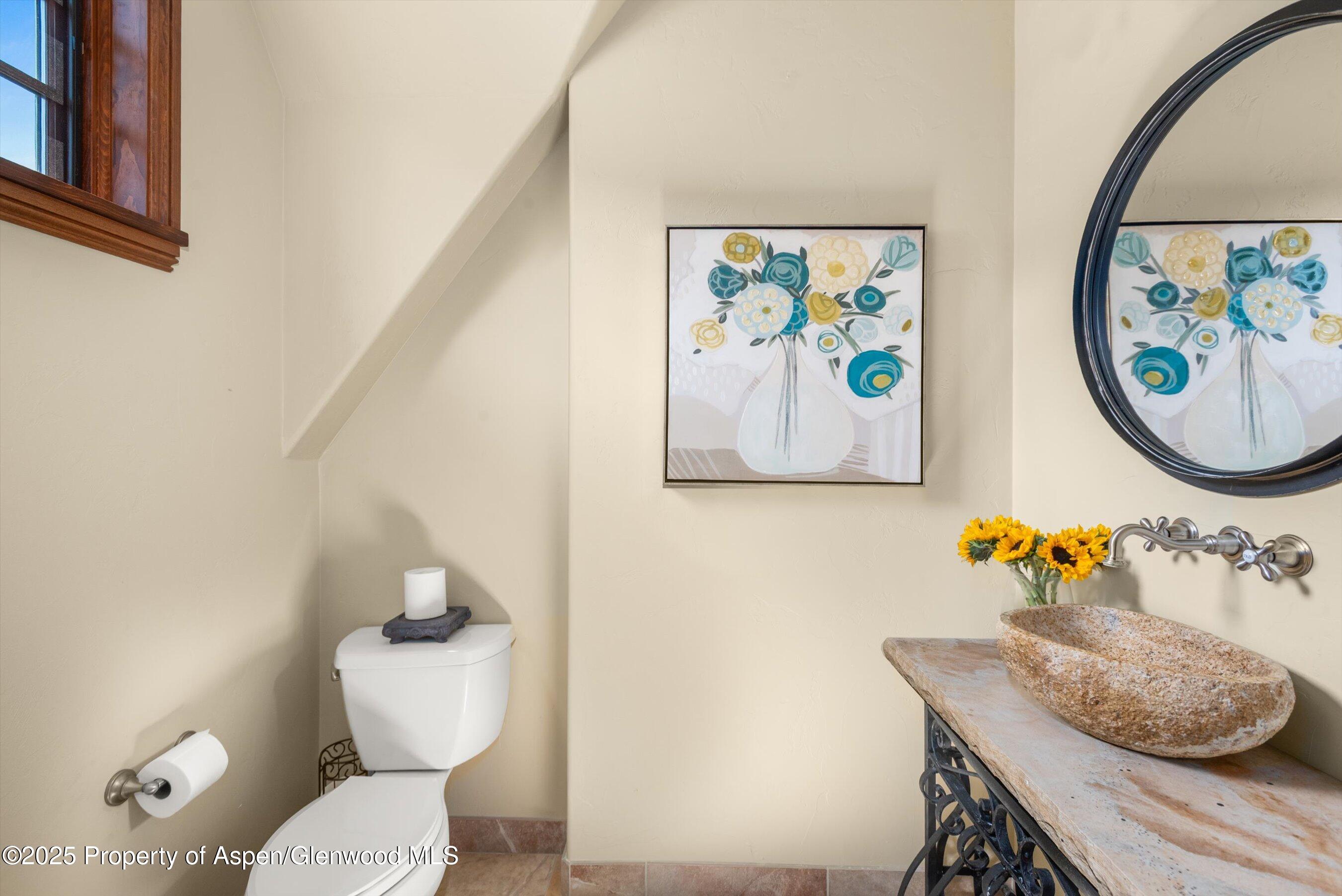 16 Street Finnbar Farm Road Carbondale CO 81623