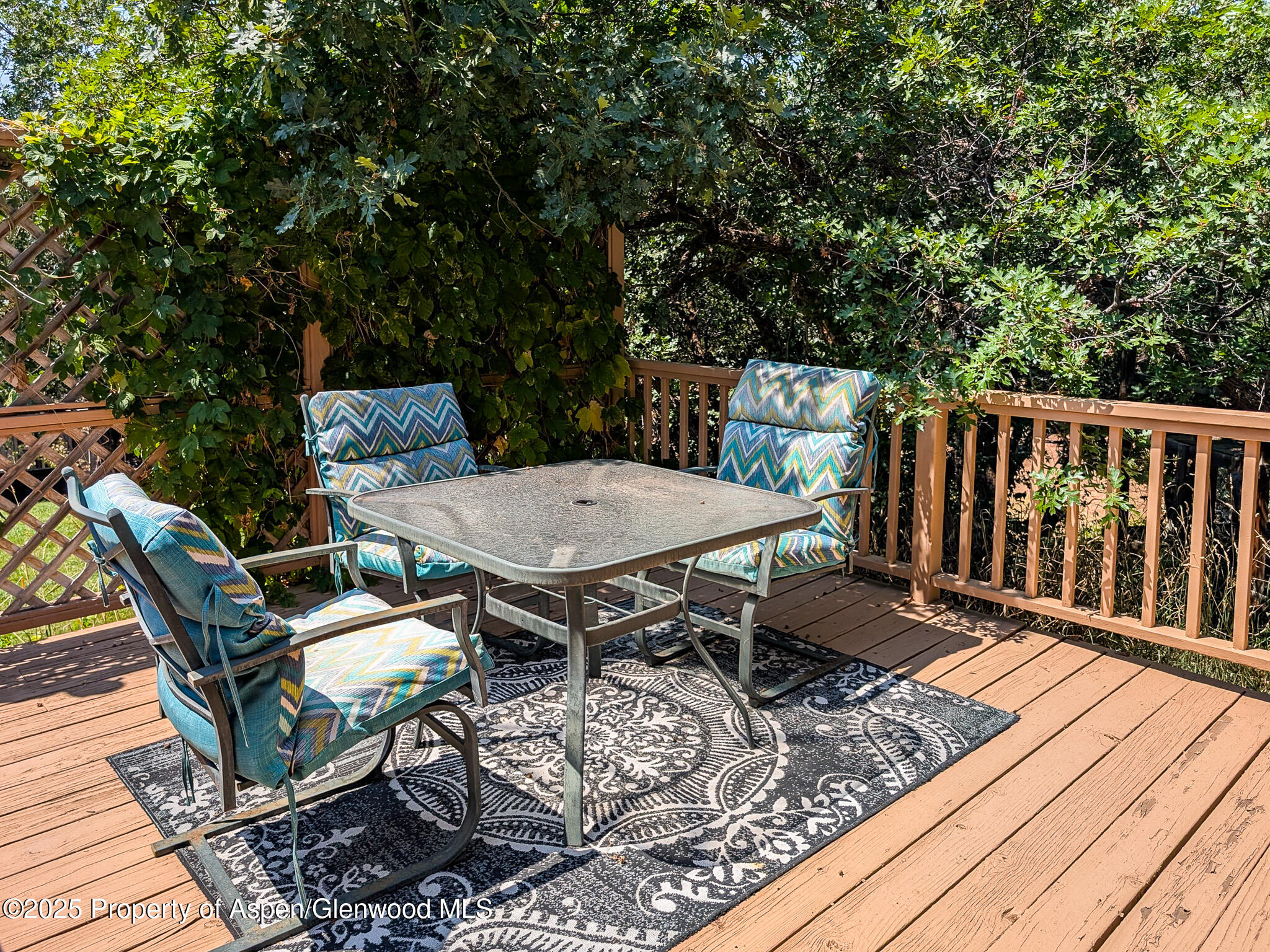 645 Canyon Creek Drive Glenwood Springs CO 81601