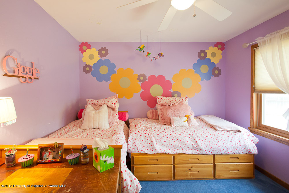 793 Latigo Court Carbondale CO 81623