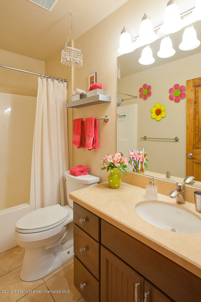 793 Latigo Court Carbondale CO 81623
