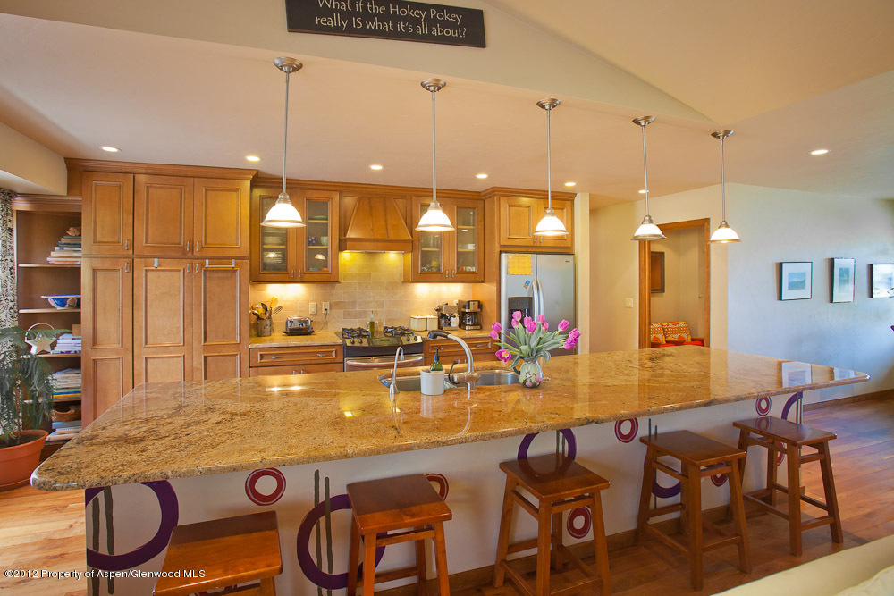 793 Latigo Court Carbondale CO 81623