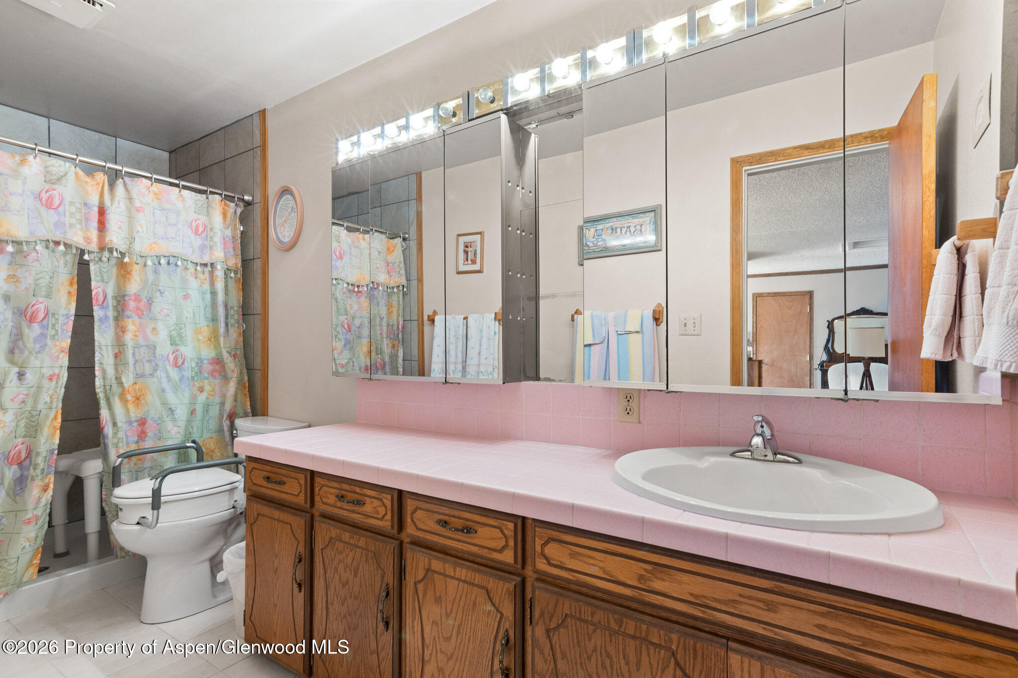 284 Panoramic Drive Silt CO 81652