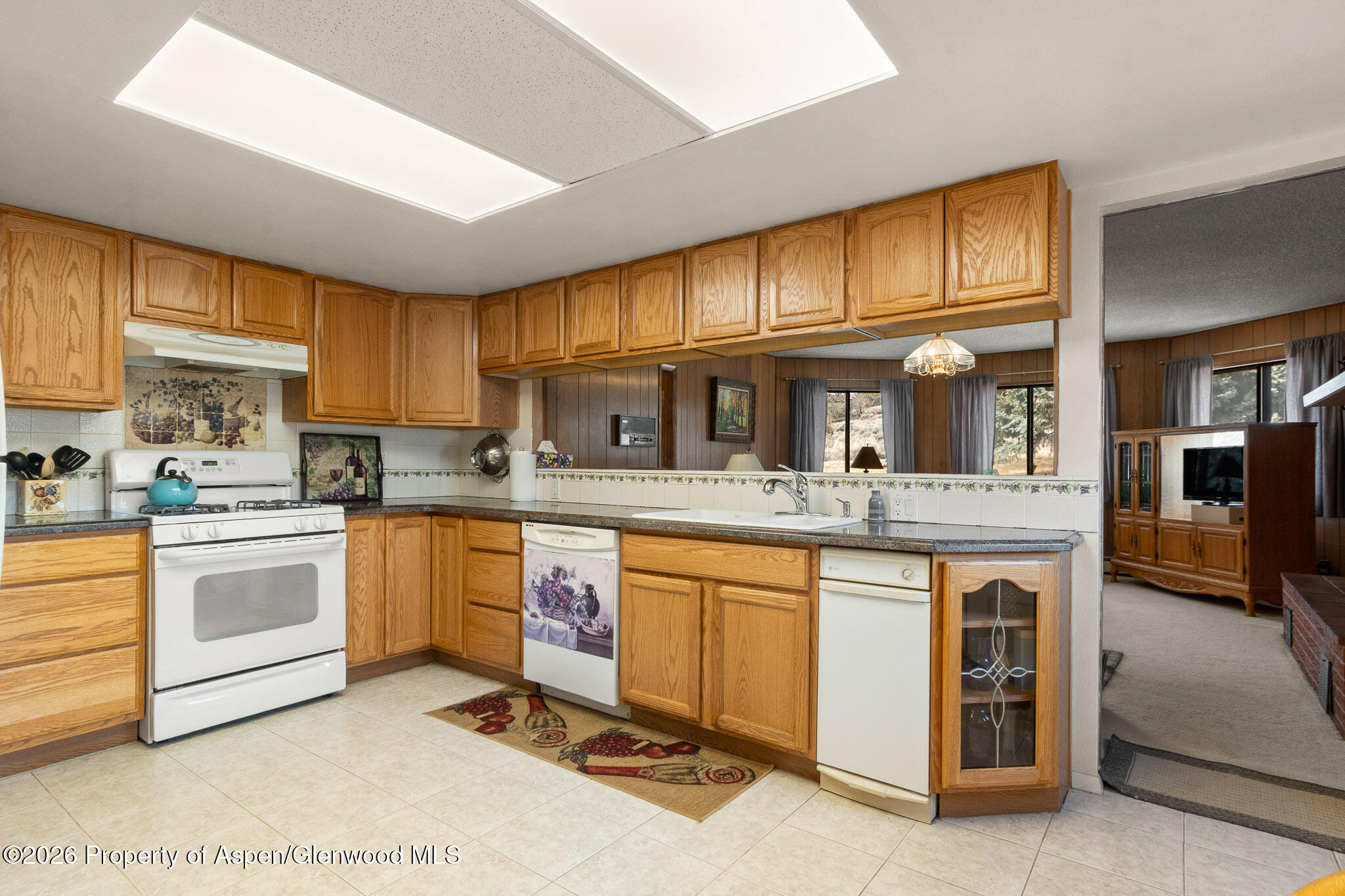 284 Panoramic Drive Silt CO 81652