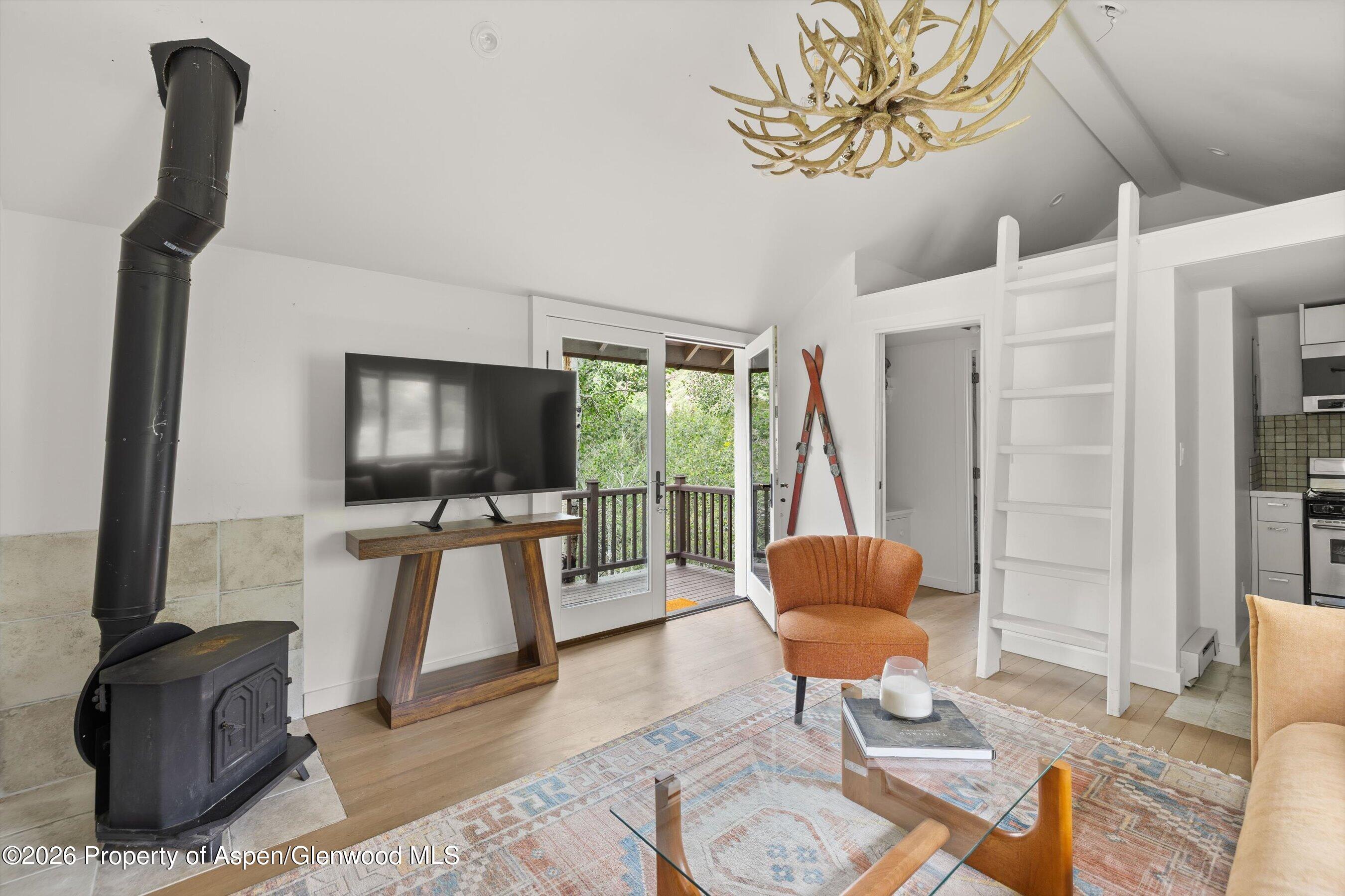 5387 Castle Creek Road Aspen CO 81612