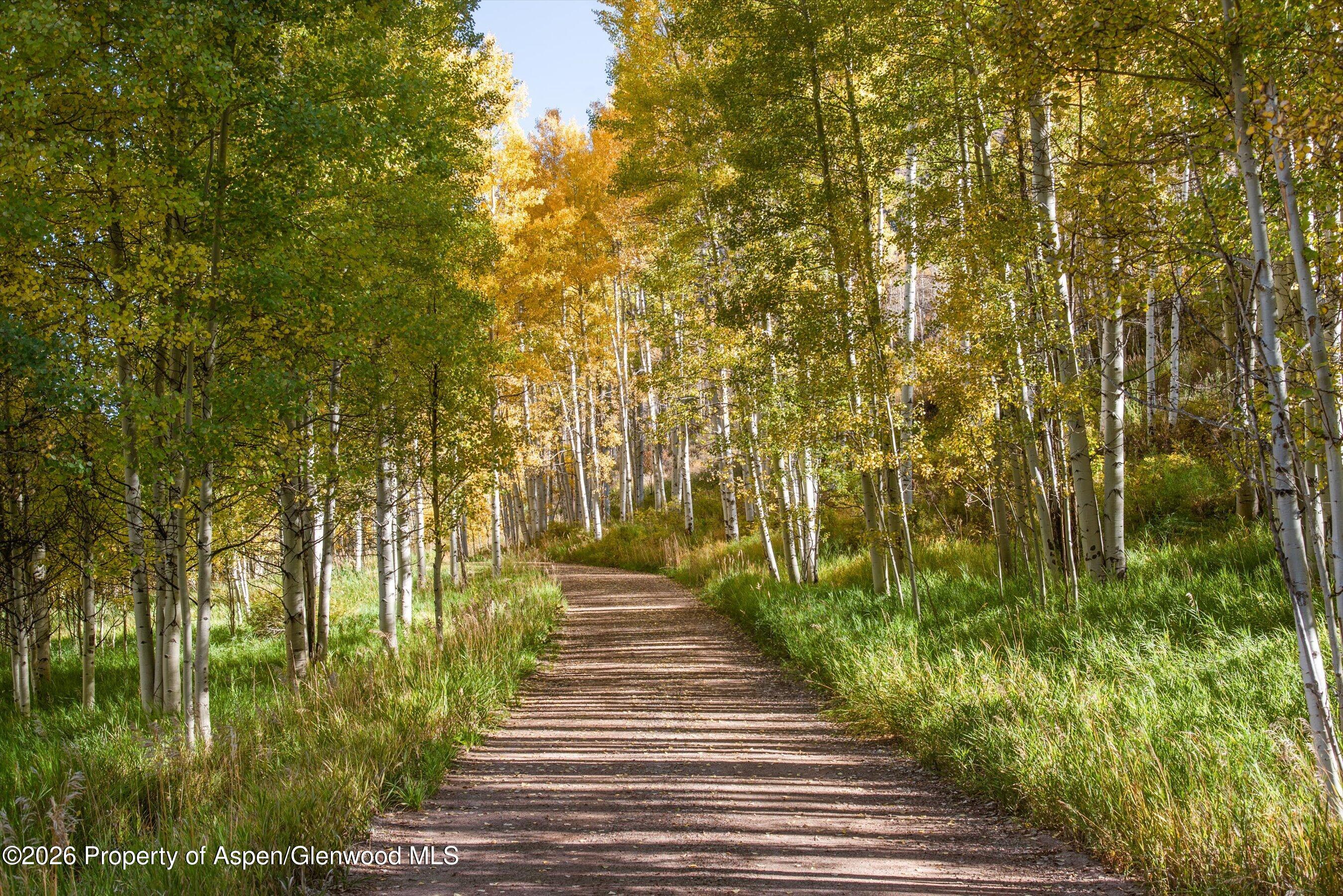 5387 Castle Creek Road Aspen CO 81612