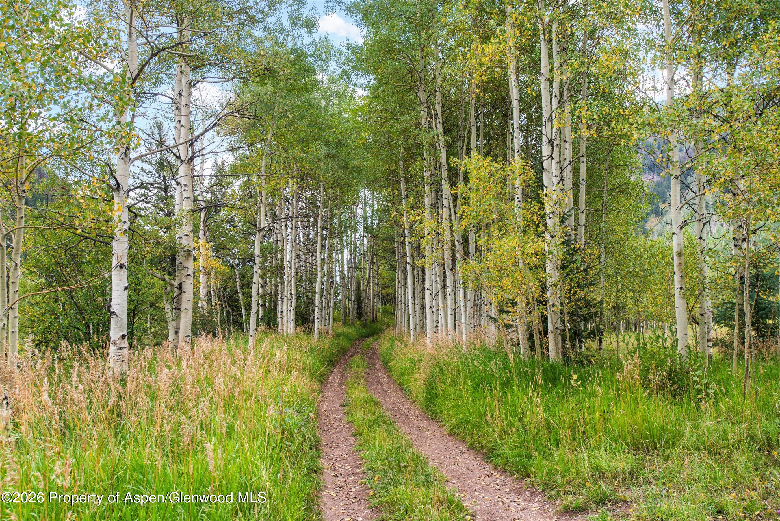 5387 Castle Creek Road Aspen CO 81612