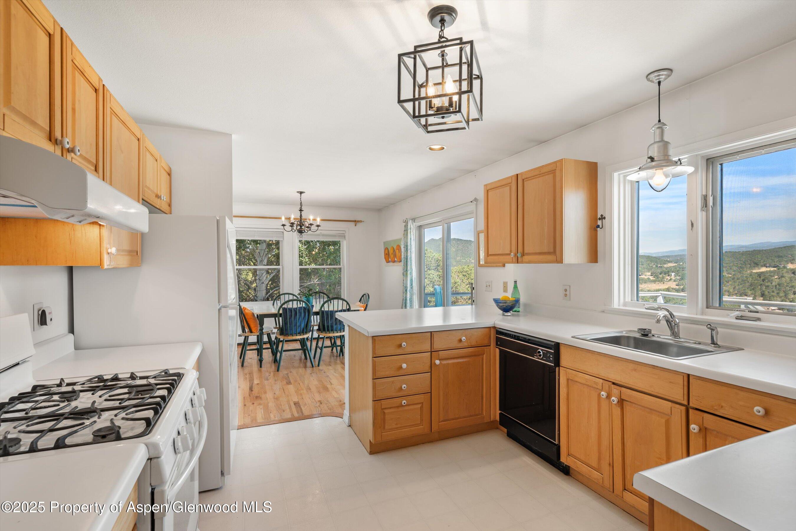 5357 County Road 100 Carbondale CO 81623