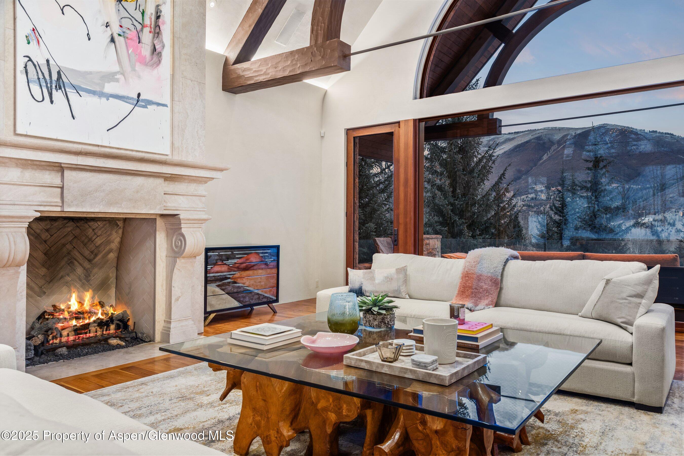 1011 Ute Avenue Aspen CO 81611