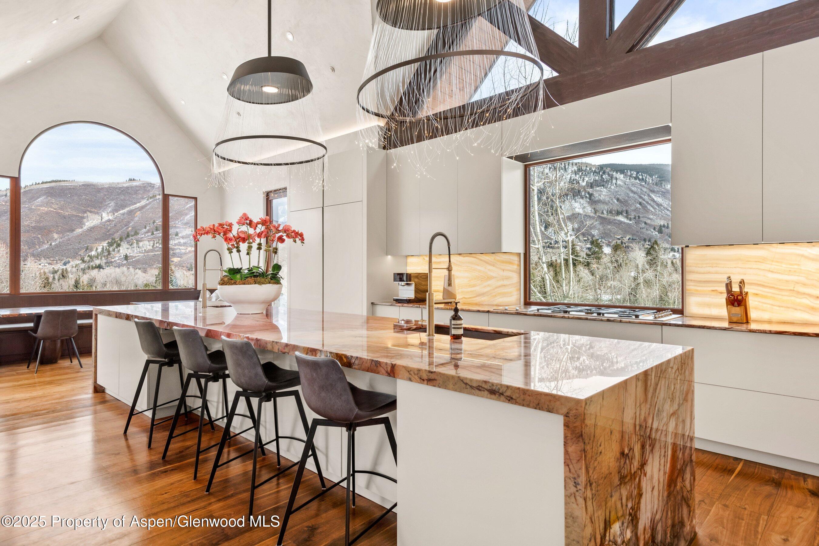 1011 Ute Avenue Aspen CO 81611