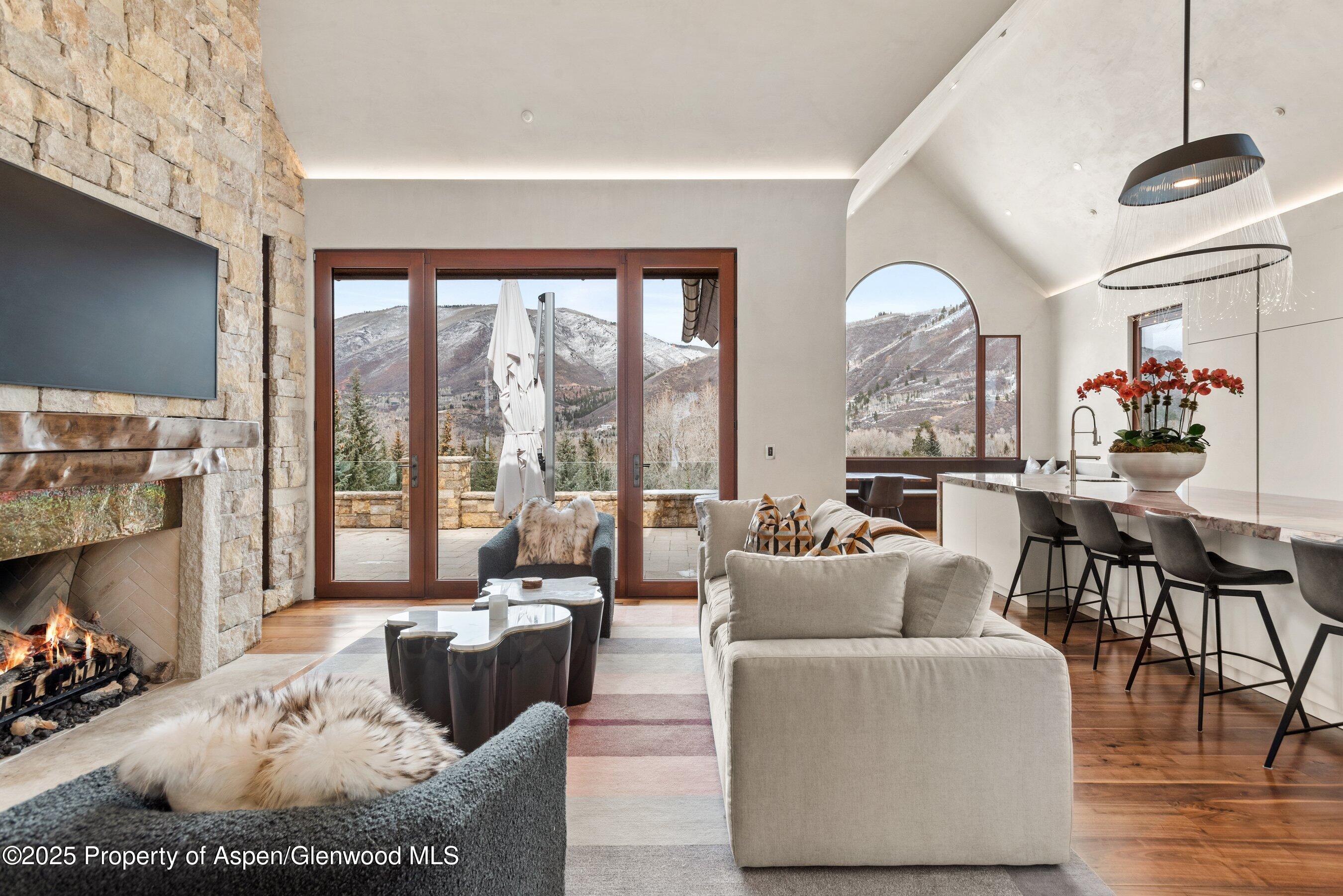 1011 Ute Avenue Aspen CO 81611