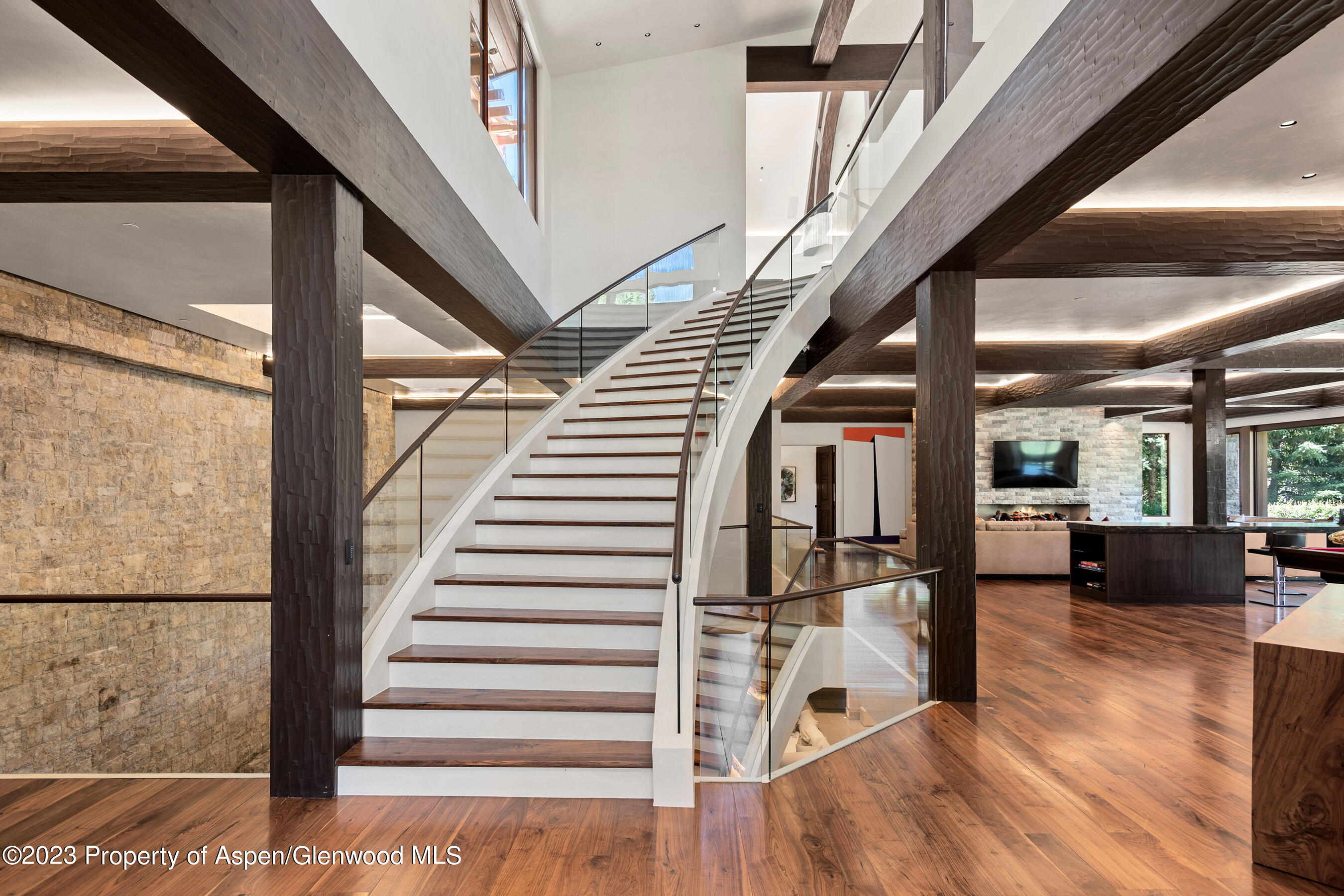 1011 Ute Avenue Aspen CO 81611