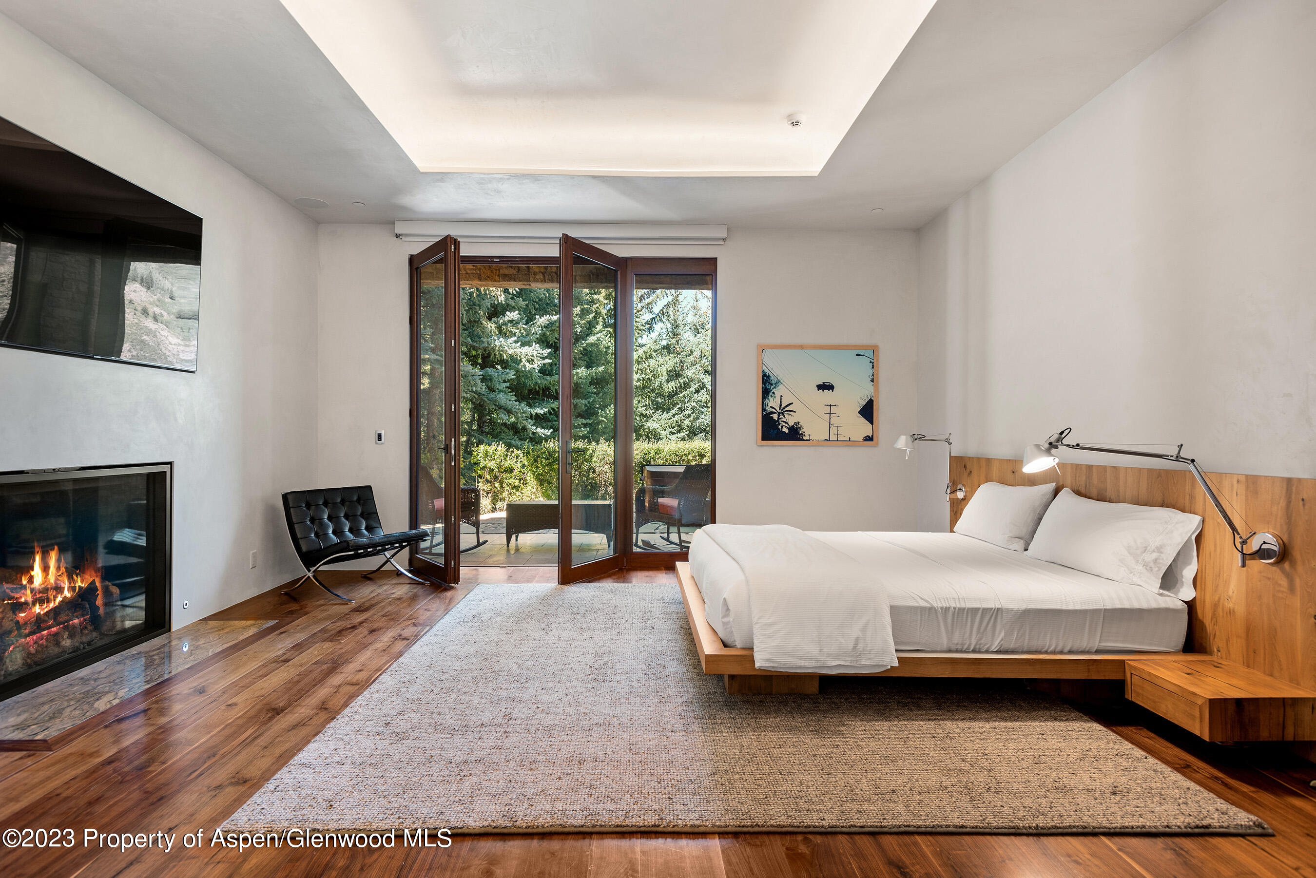 1011 Ute Avenue Aspen CO 81611