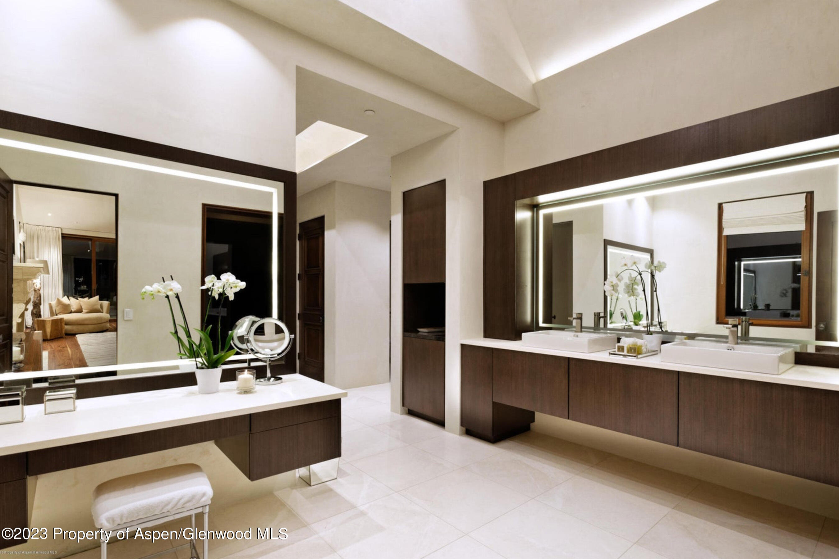 1011 Ute Avenue Aspen CO 81611