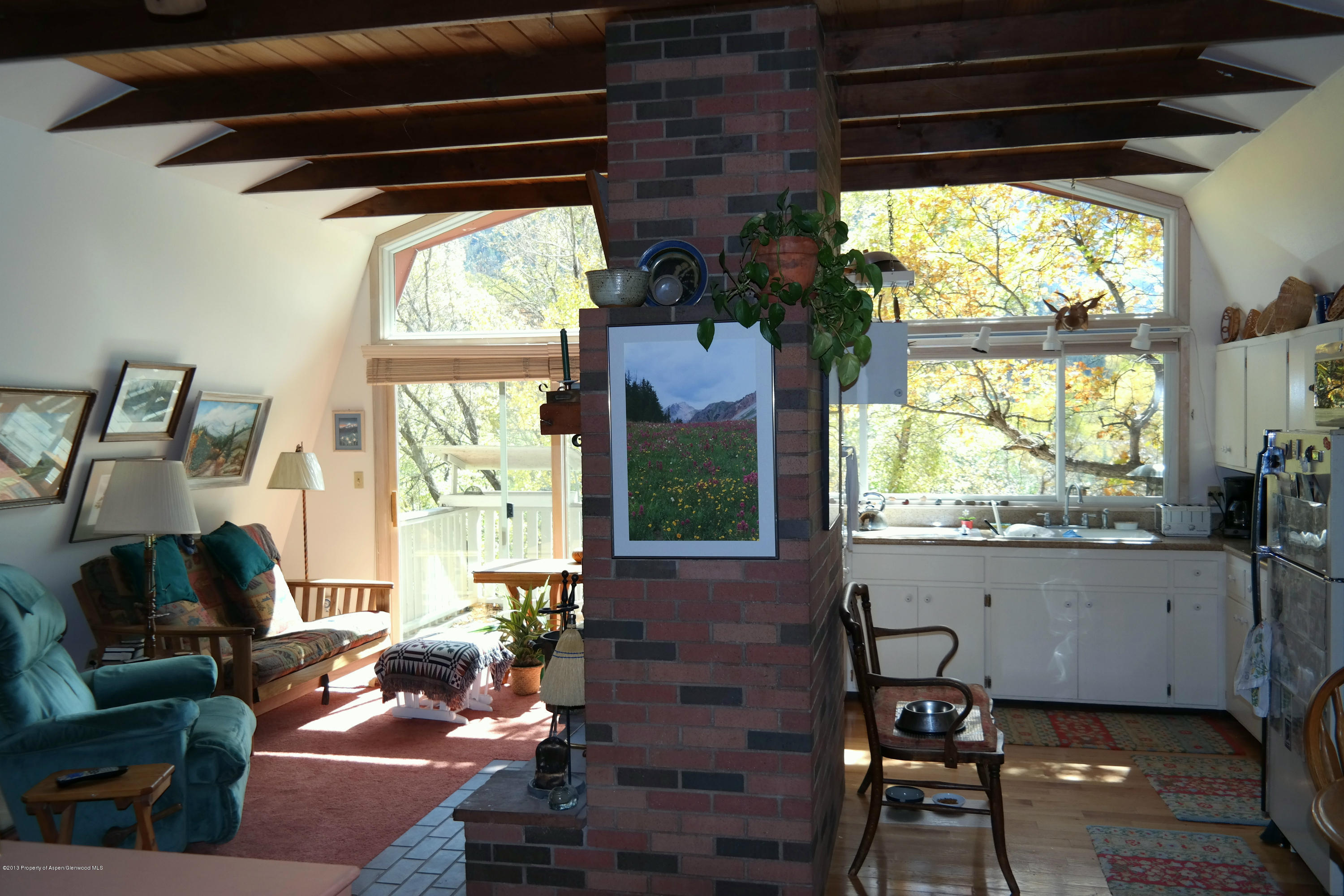 73 Cherokee Lane Carbondale CO 81623