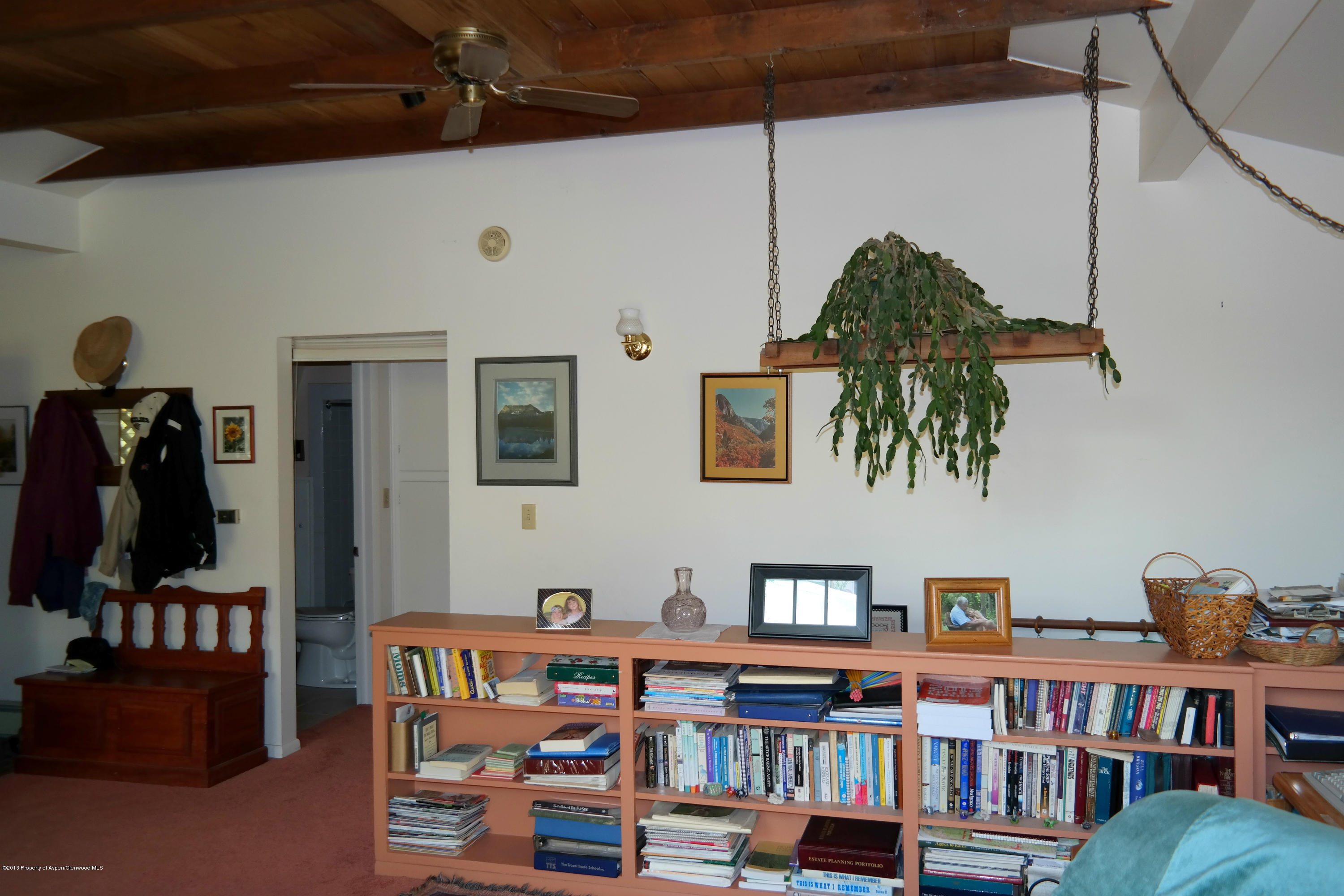 73 Cherokee Lane Carbondale CO 81623