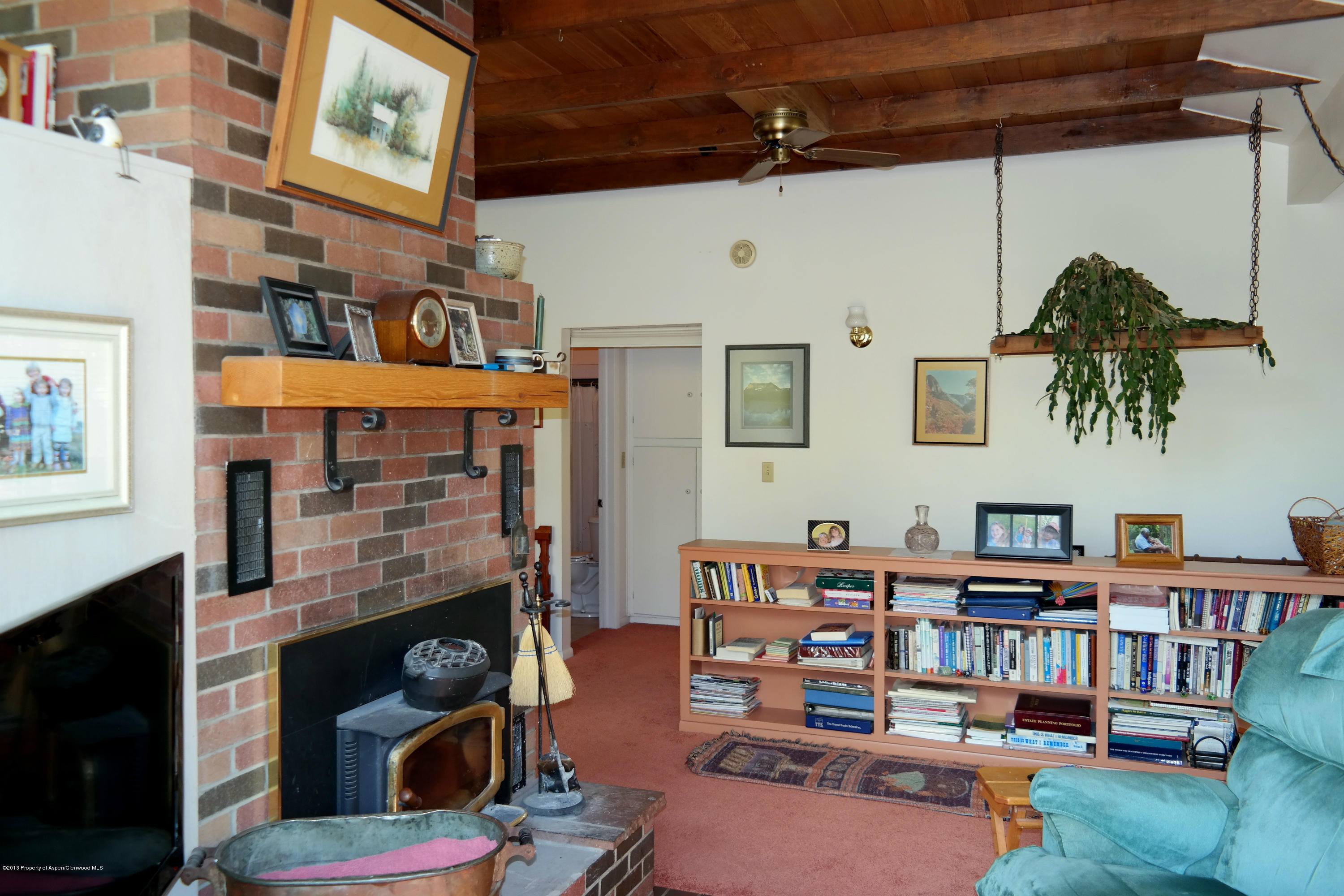 73 Cherokee Lane Carbondale CO 81623