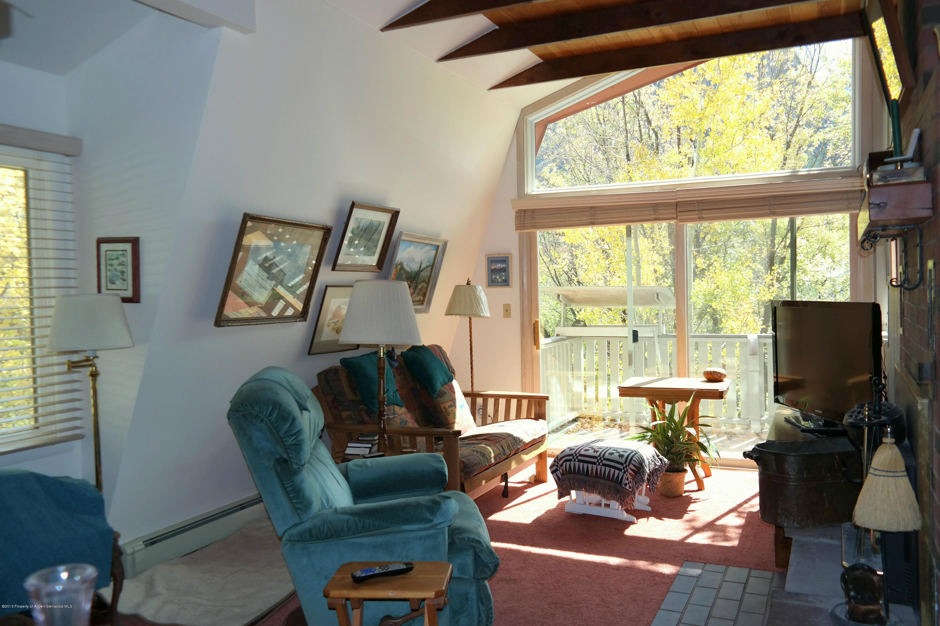 73 Cherokee Lane Carbondale CO 81623