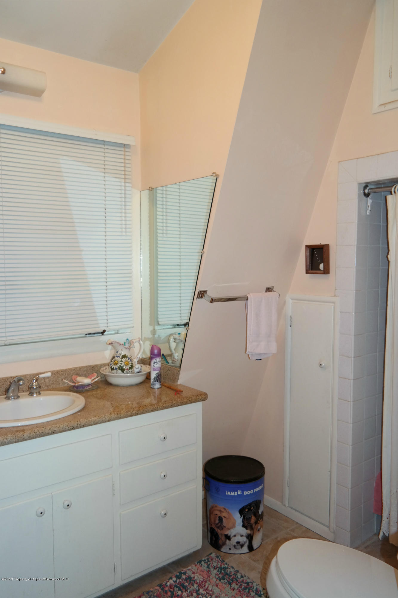 73 Cherokee Lane Carbondale CO 81623