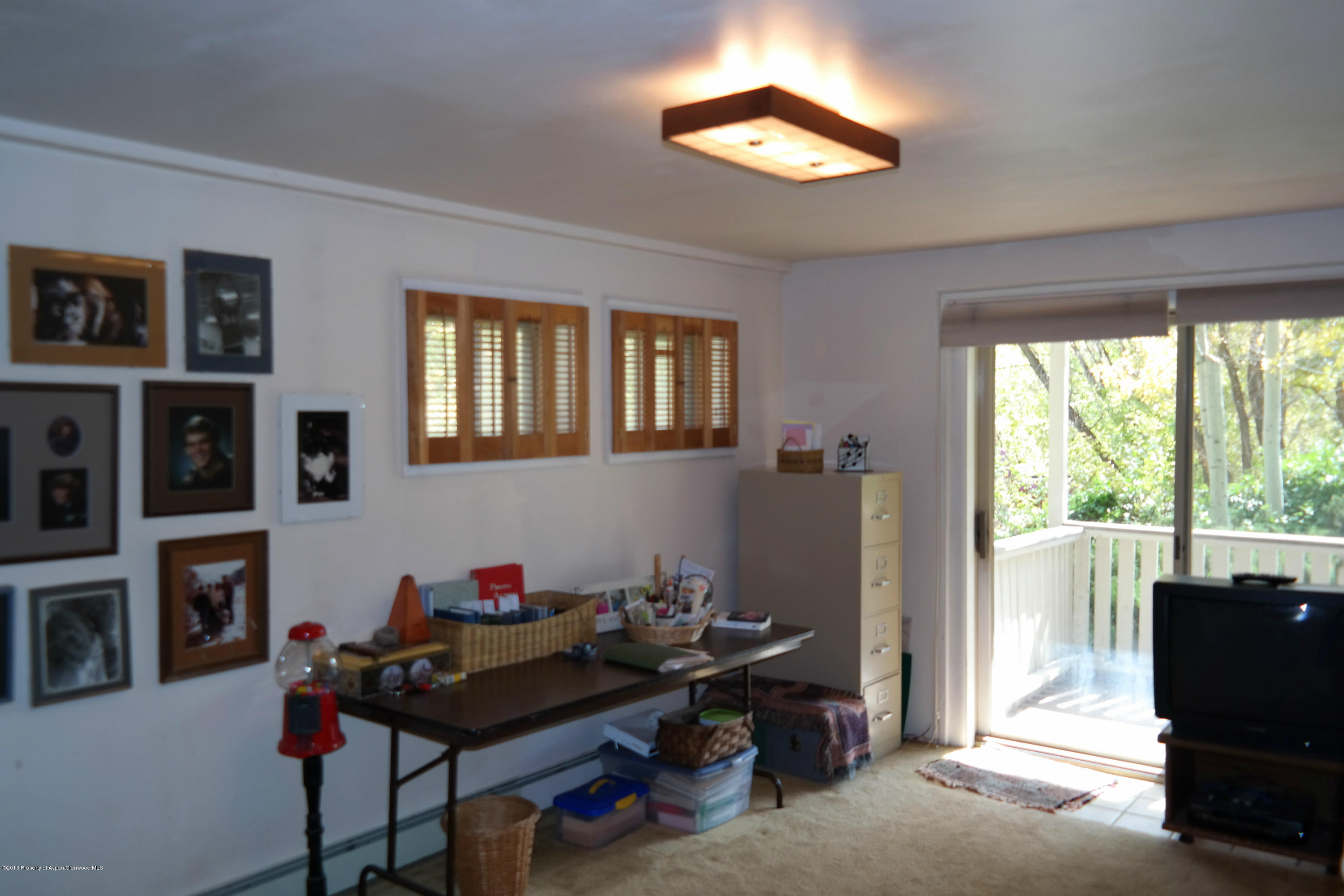 73 Cherokee Lane Carbondale CO 81623