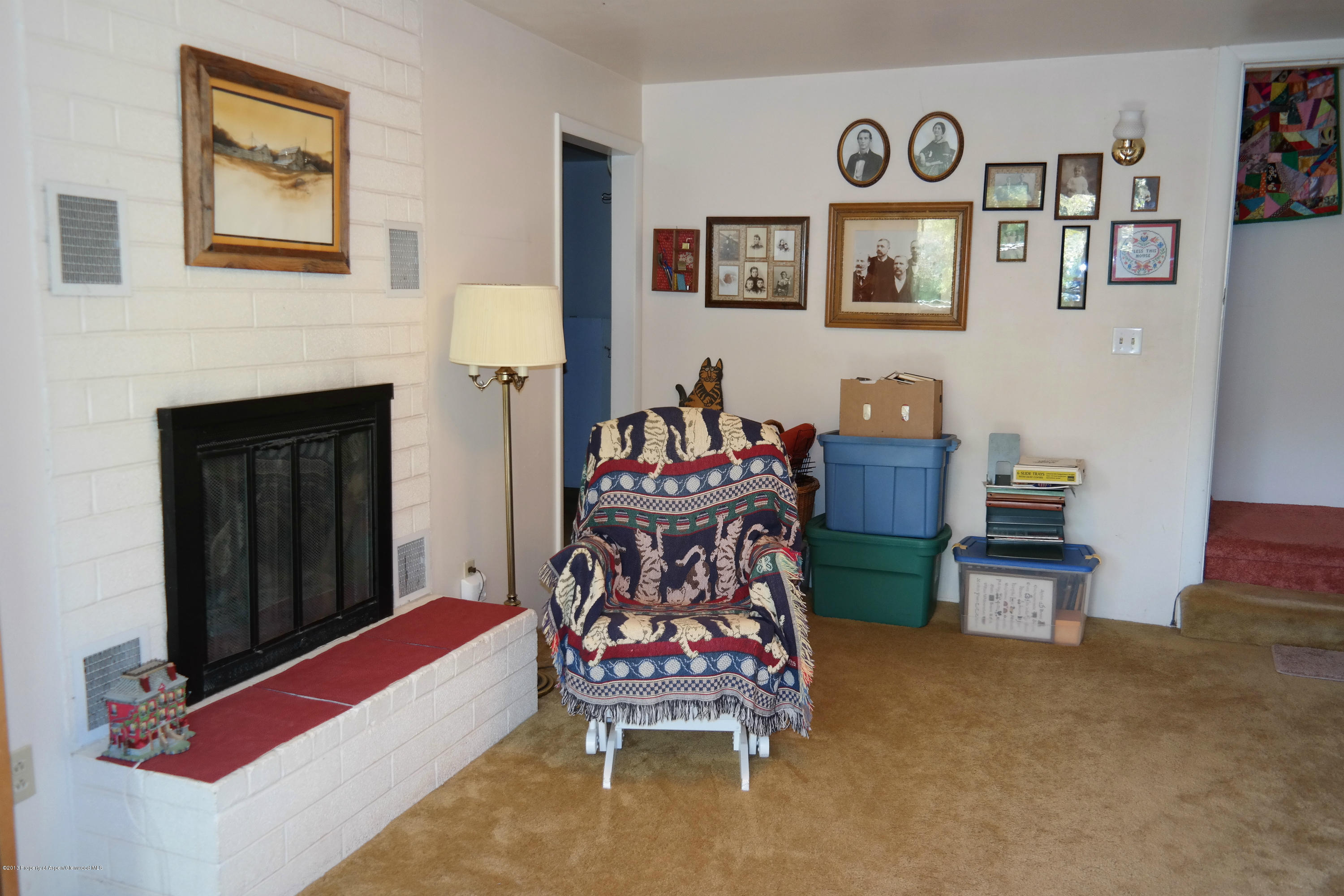 73 Cherokee Lane Carbondale CO 81623