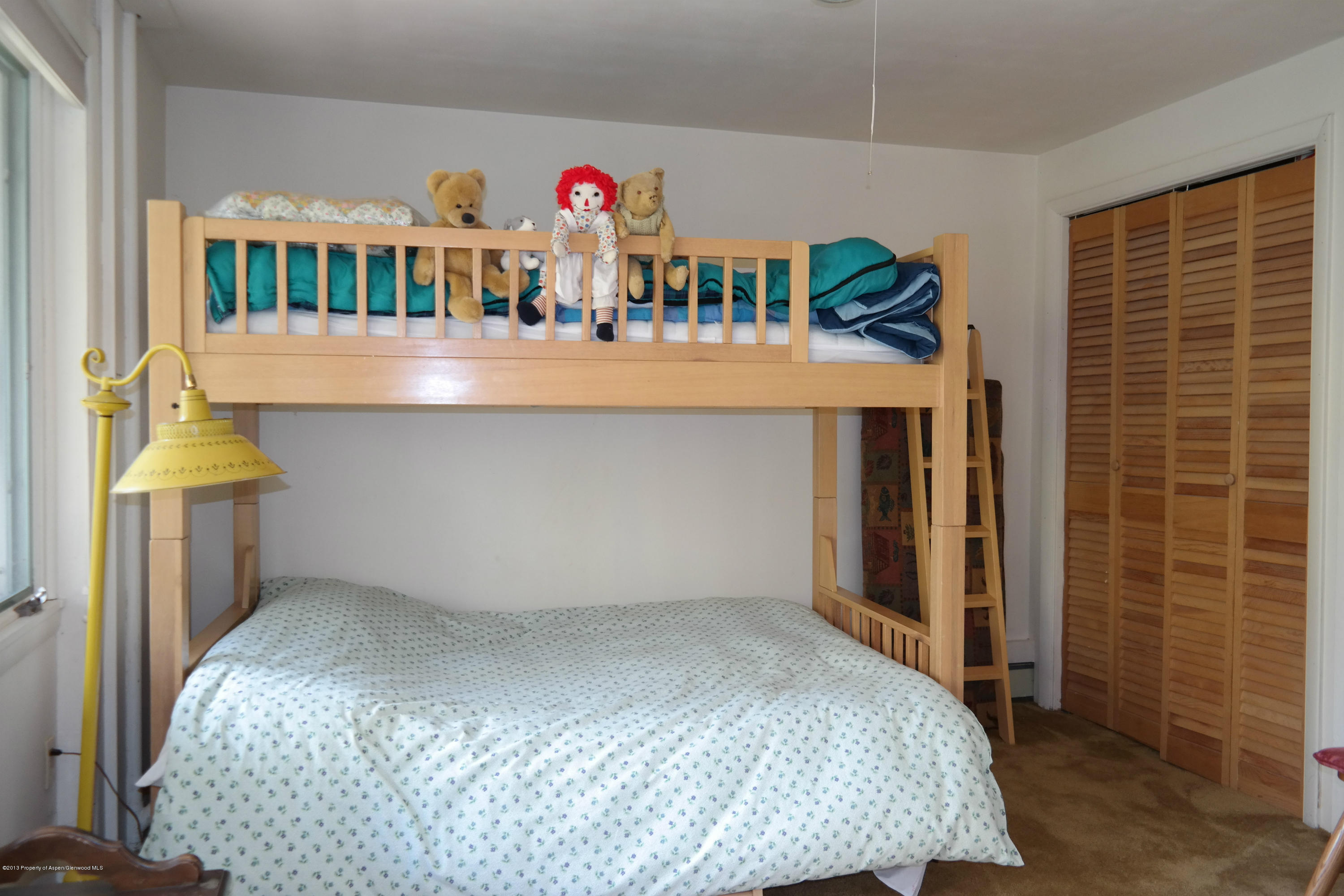 73 Cherokee Lane Carbondale CO 81623