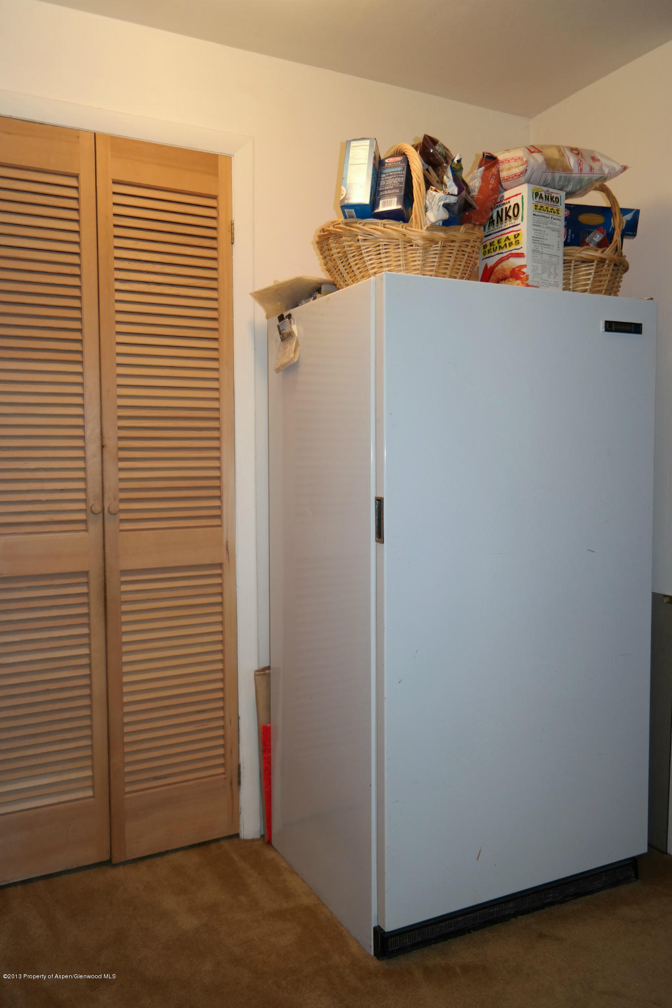 73 Cherokee Lane Carbondale CO 81623