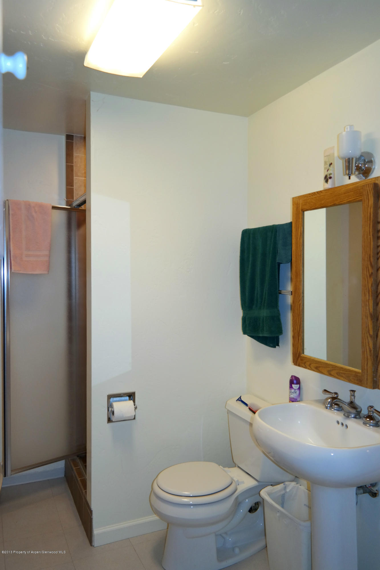 73 Cherokee Lane Carbondale CO 81623