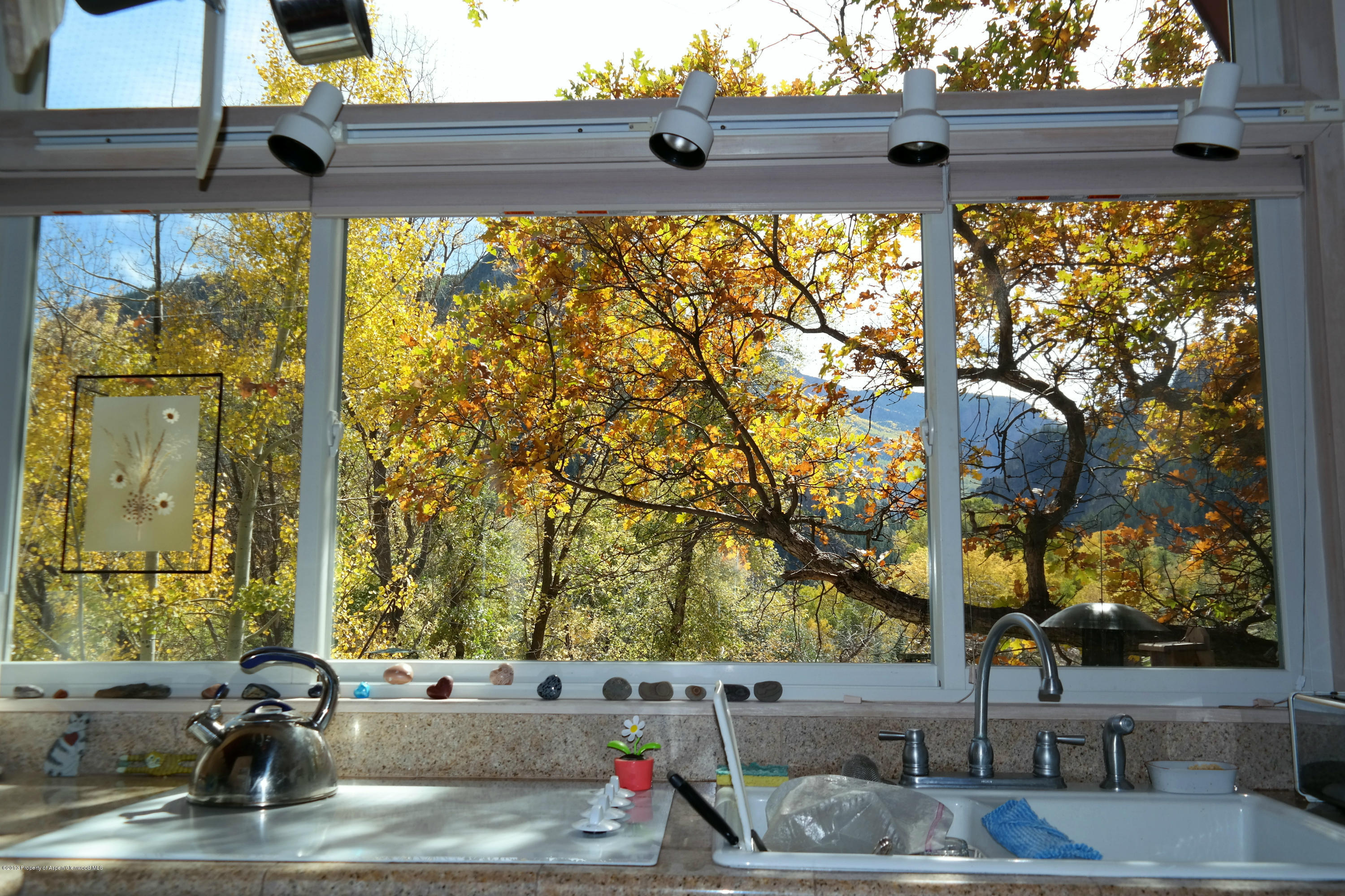 73 Cherokee Lane Carbondale CO 81623