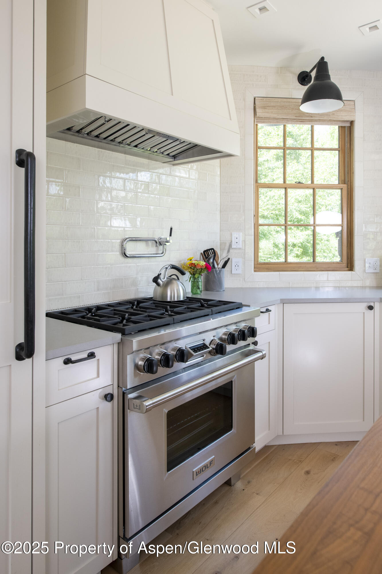 1207 Hooks Spur Road Basalt CO 81621