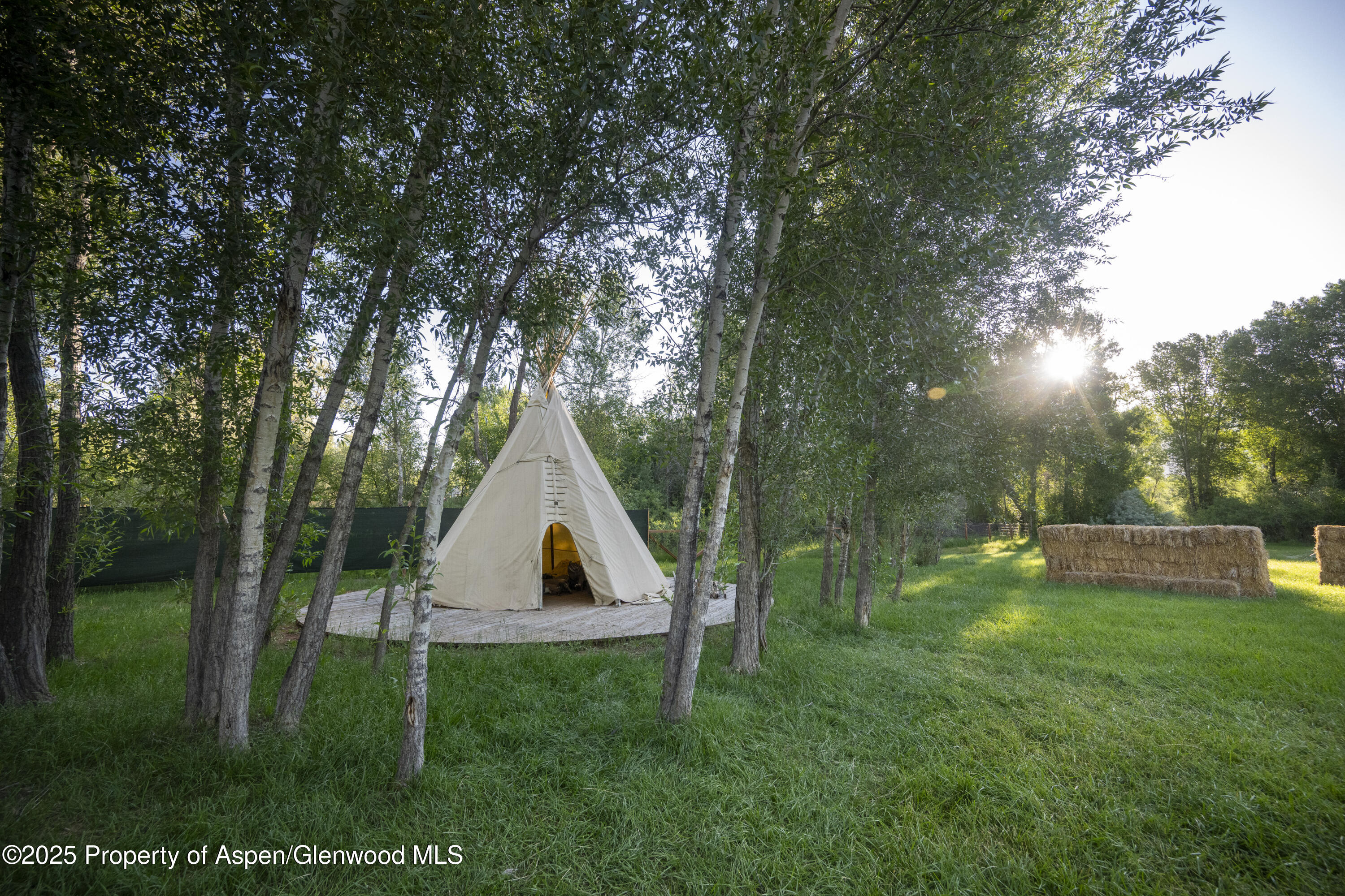 1207 Hooks Spur Road Basalt CO 81621