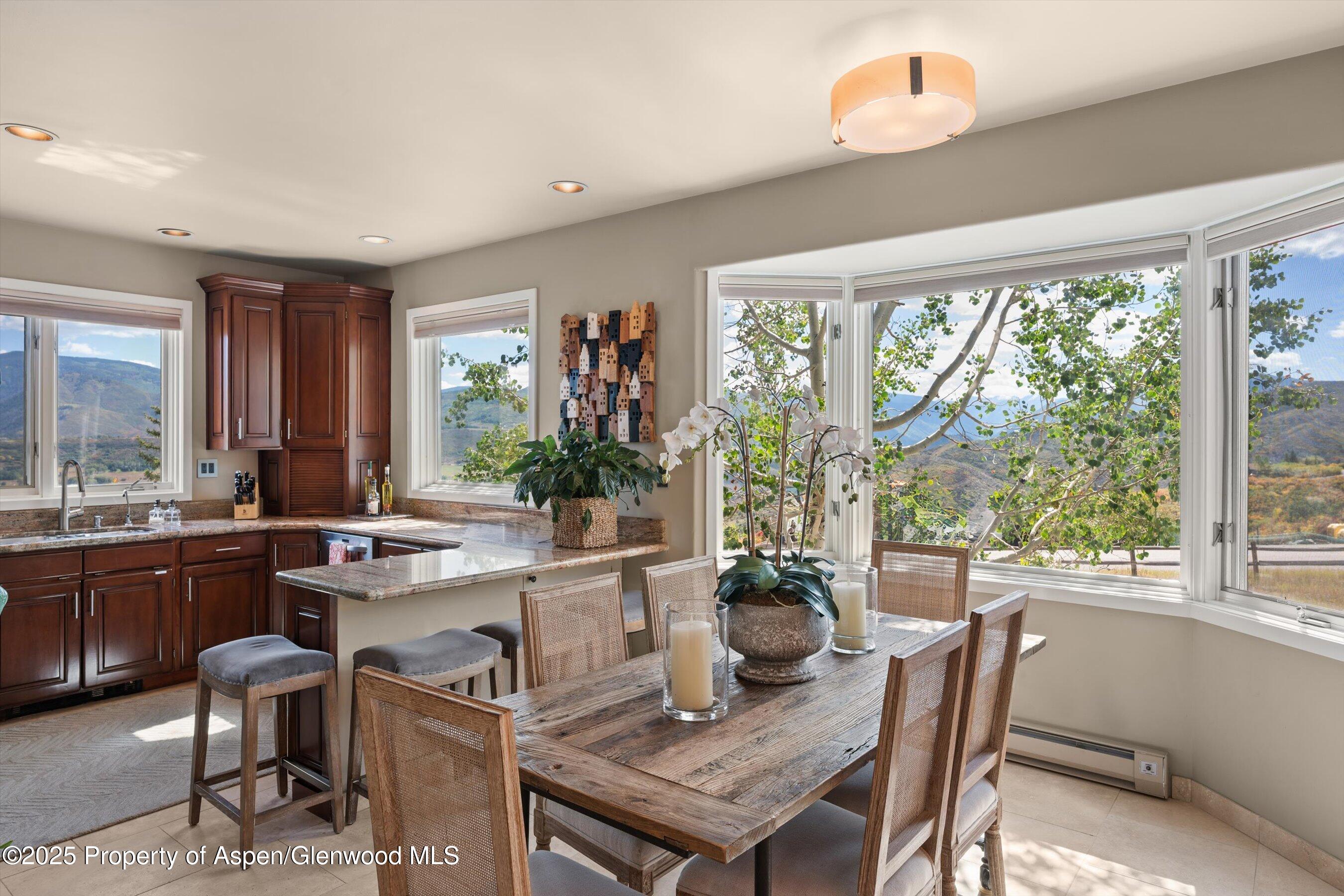 1560 Medicine Bow Road Aspen CO 81611