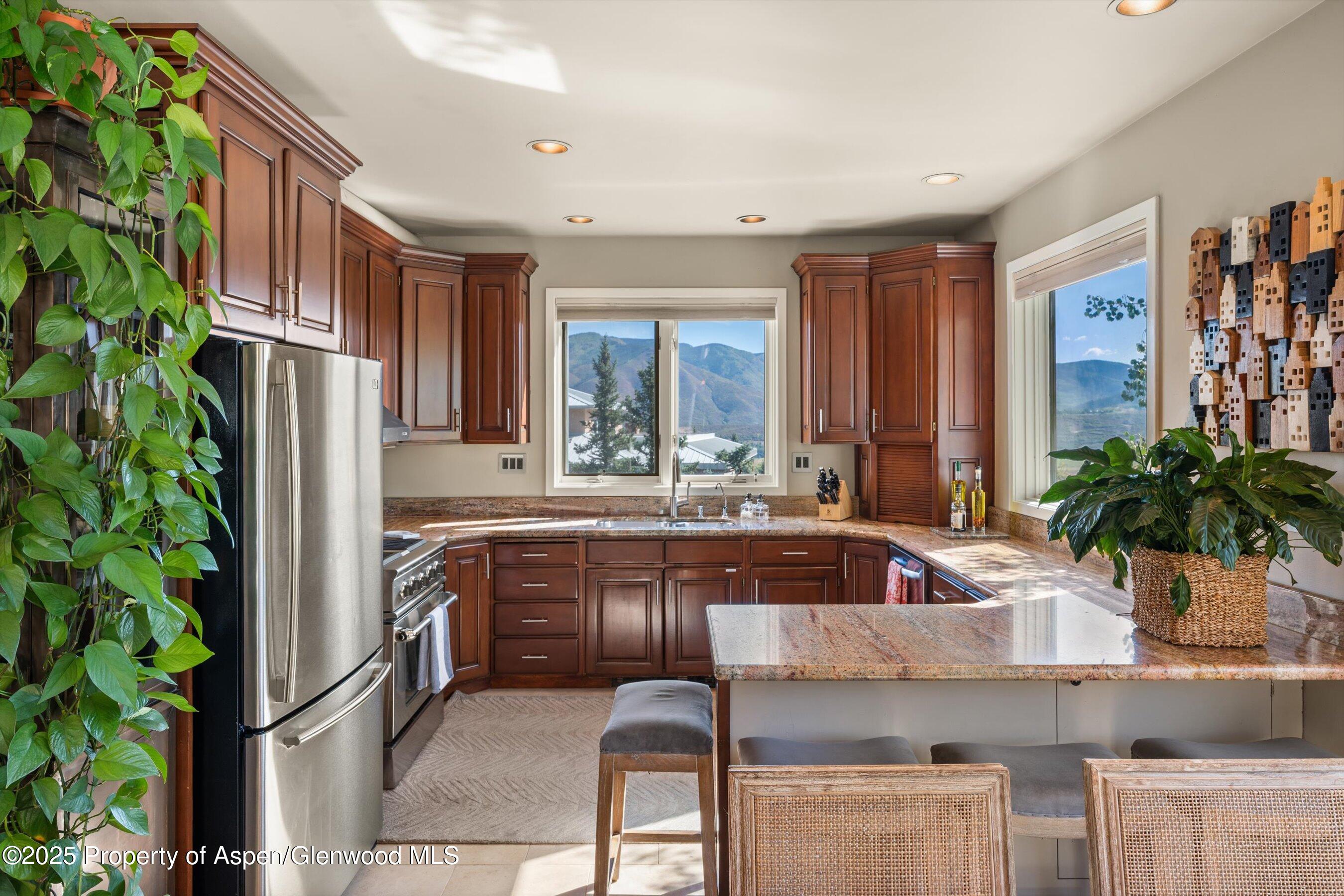 1560 Medicine Bow Road Aspen CO 81611