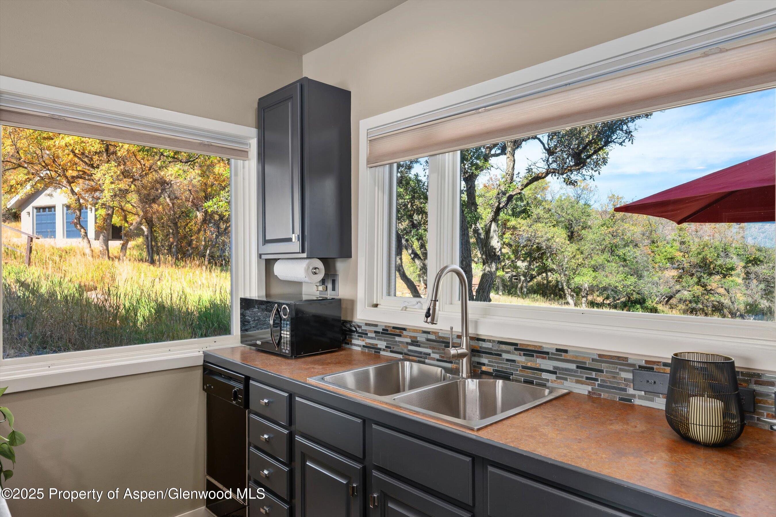 1560 Medicine Bow Road Aspen CO 81611