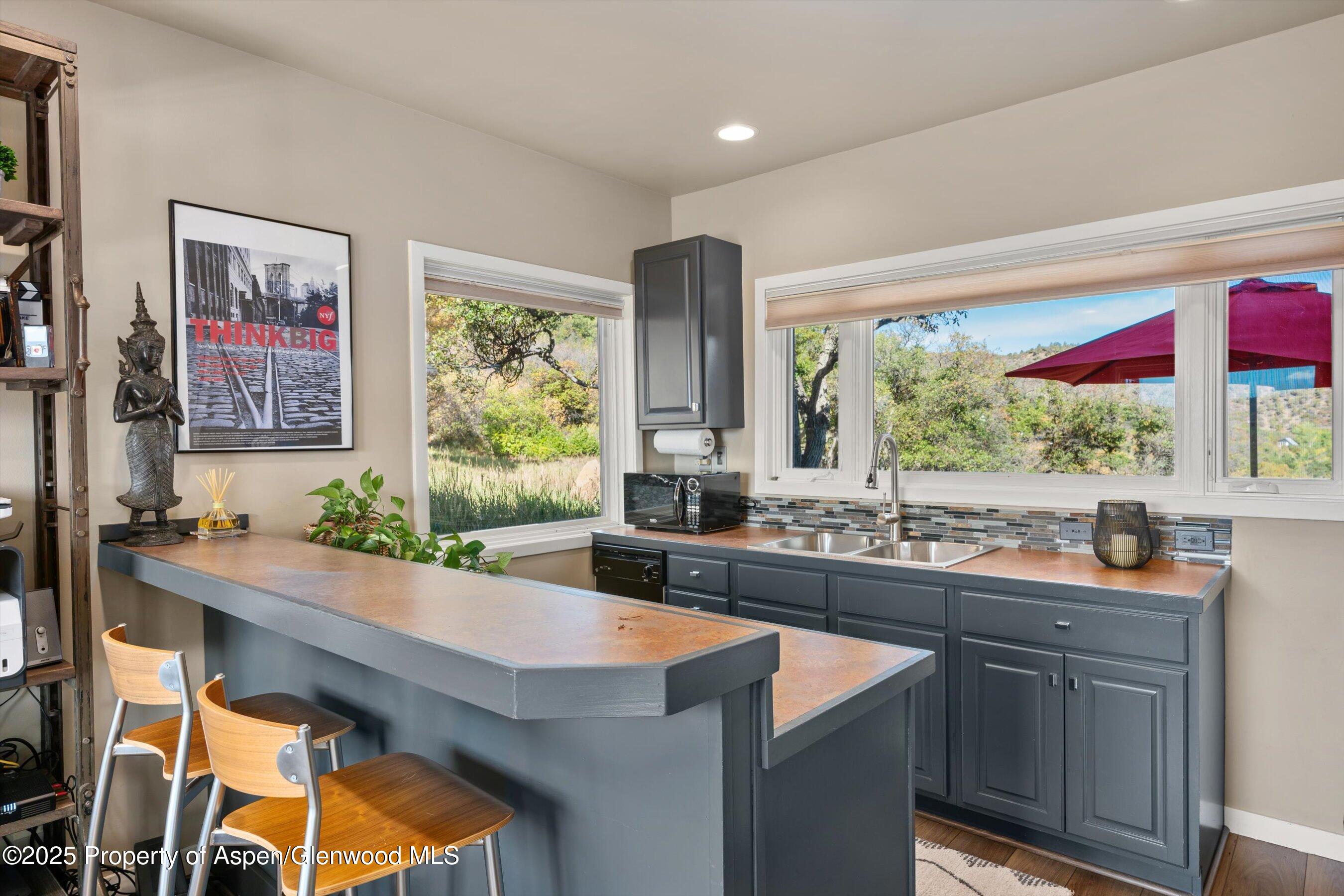 1560 Medicine Bow Road Aspen CO 81611