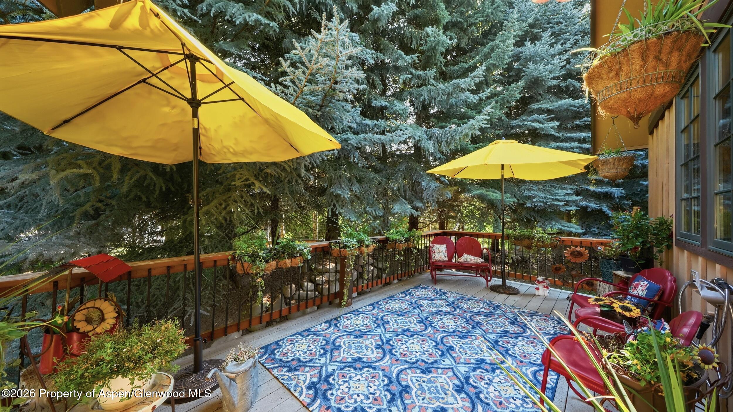 4132 Crystal Bridge Drive Carbondale CO 81623