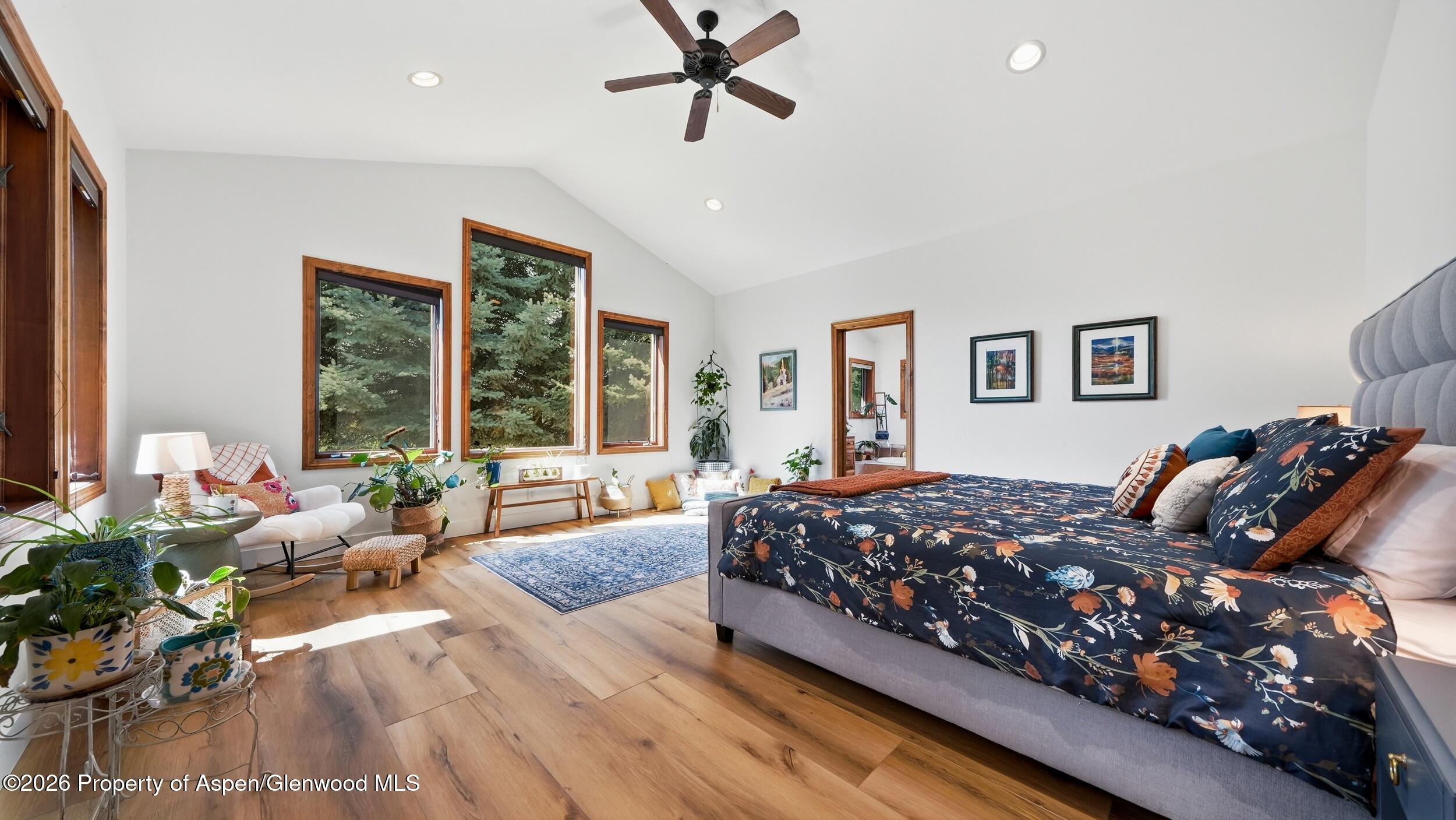 4132 Crystal Bridge Drive Carbondale CO 81623