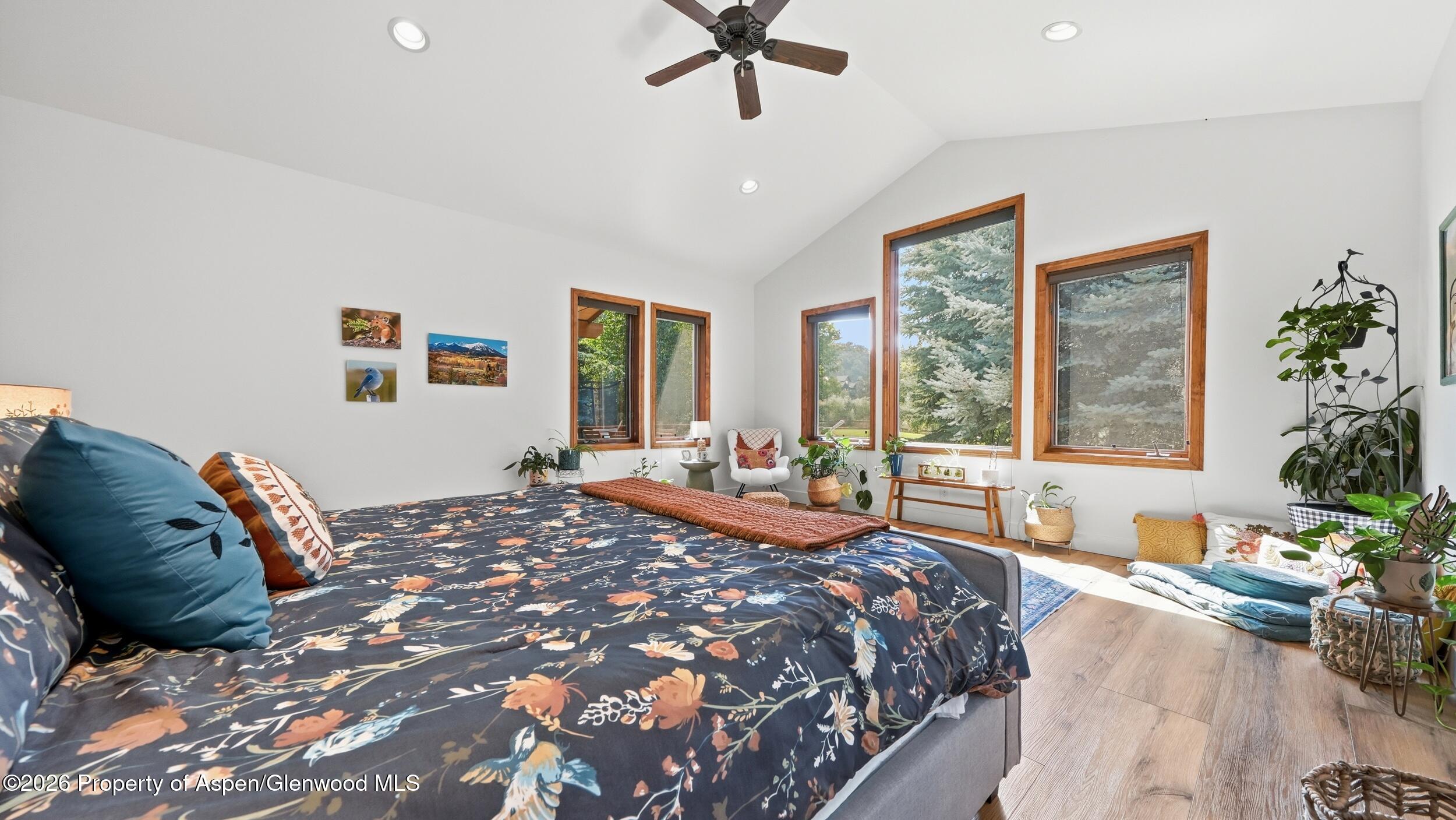 4132 Crystal Bridge Drive Carbondale CO 81623