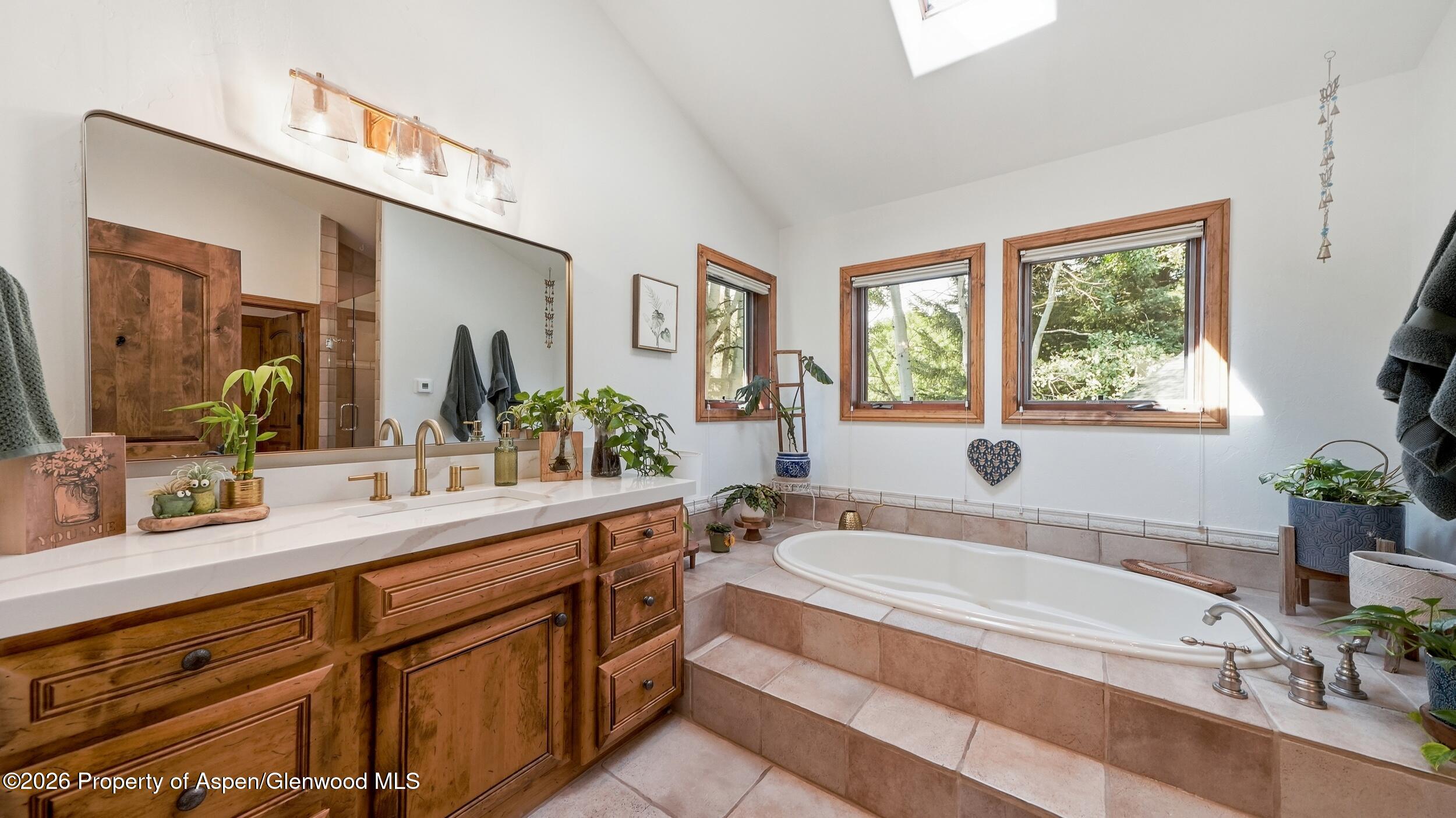 4132 Crystal Bridge Drive Carbondale CO 81623