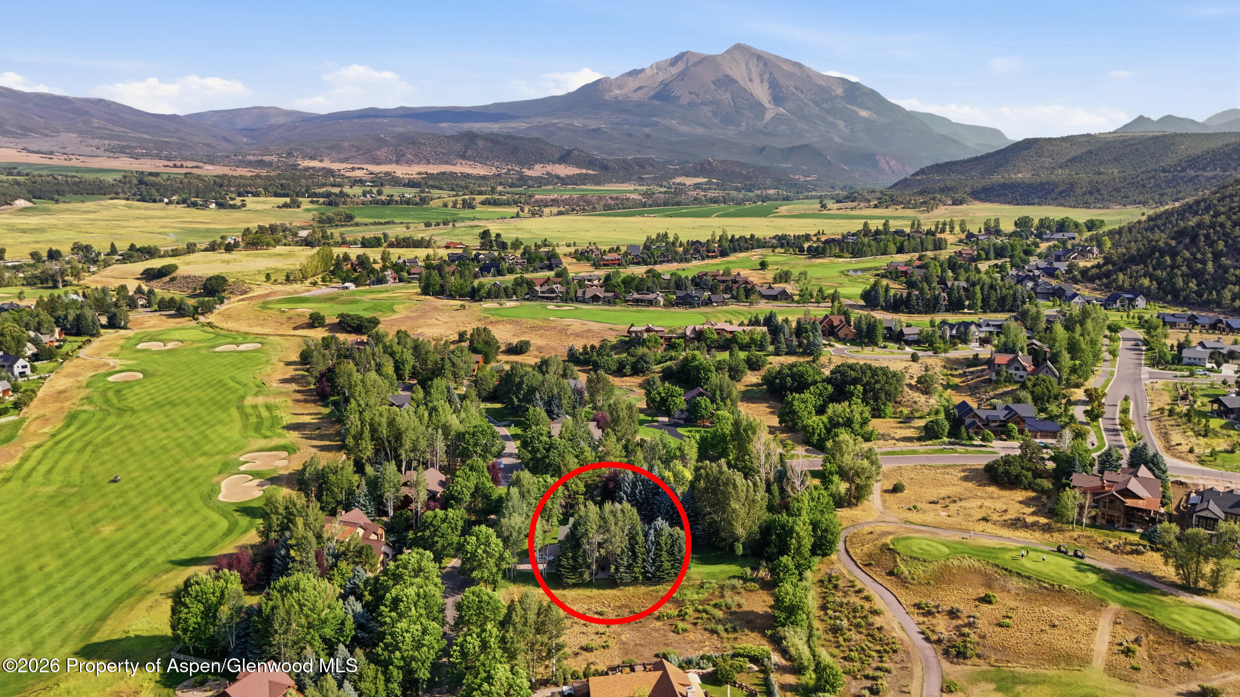 4132 Crystal Bridge Drive Carbondale CO 81623