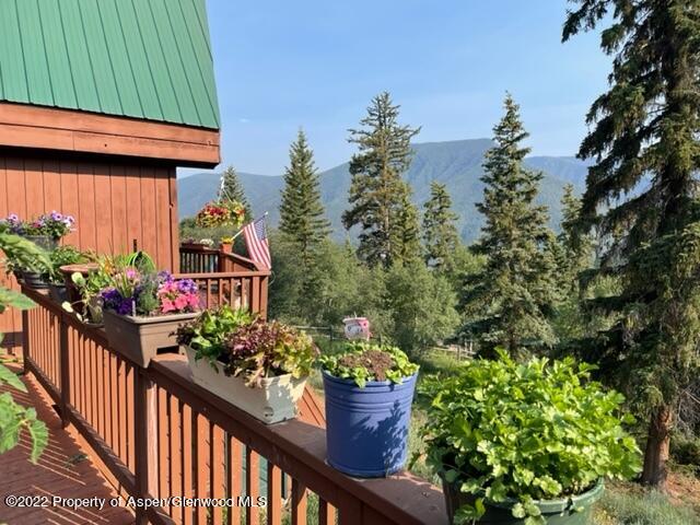 167 Wapiti Way Basalt CO 81621