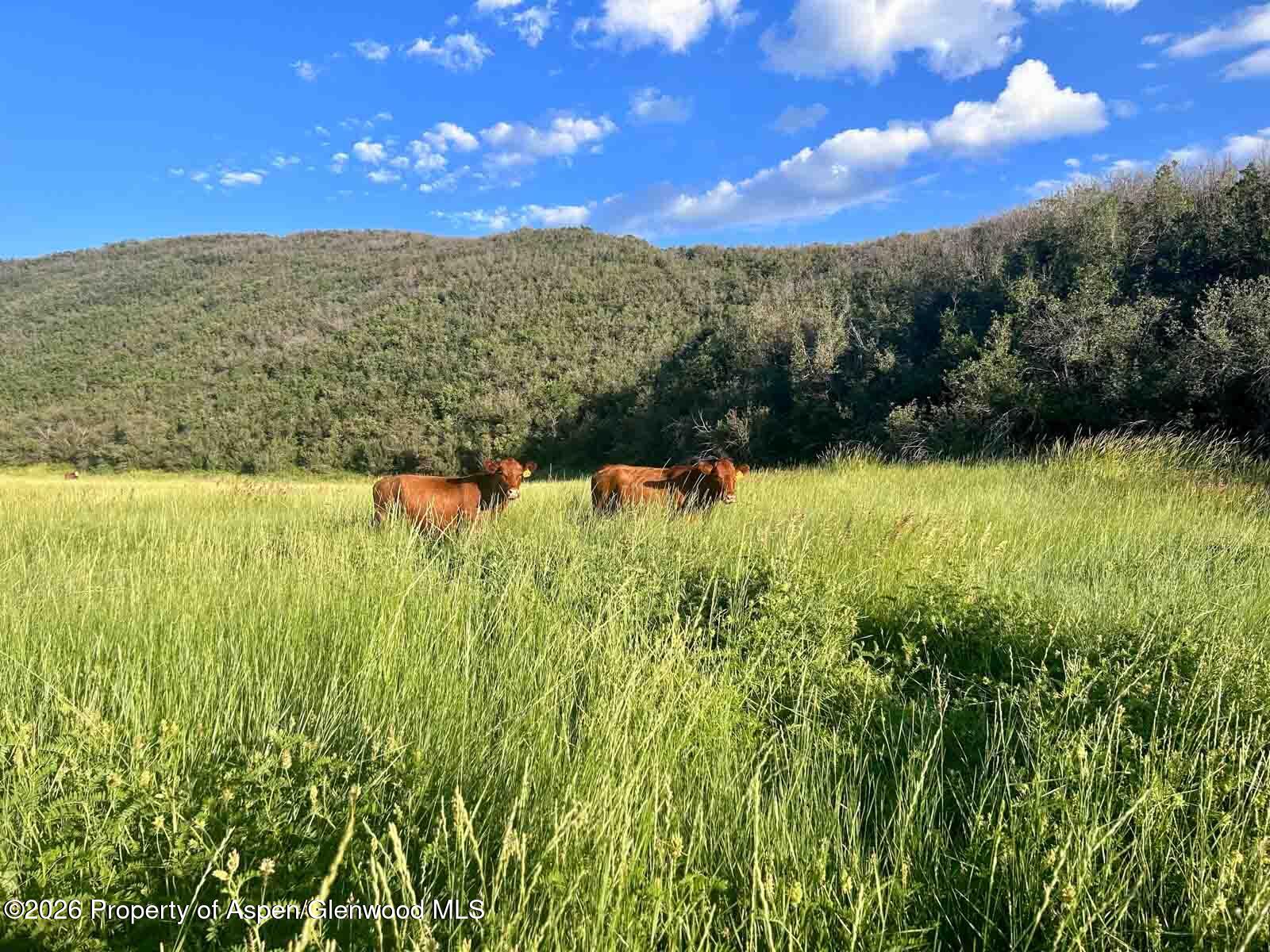 27760 Highway 13 Meeker CO 81641