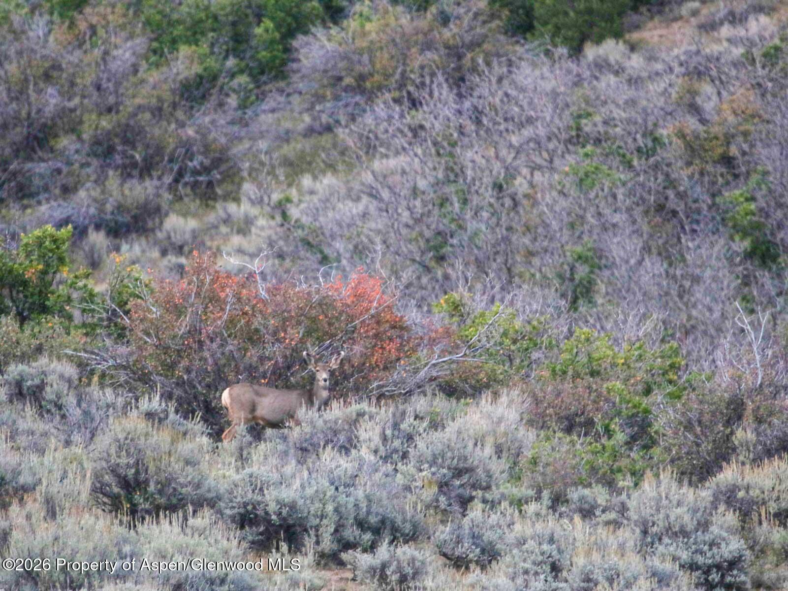 27760 Highway 13 Meeker CO 81641