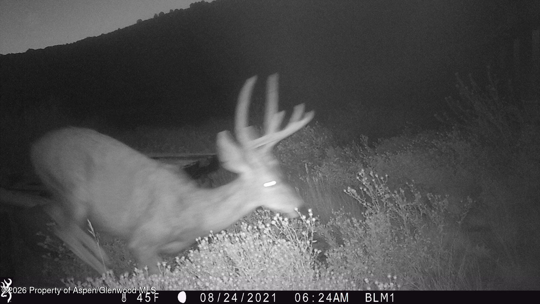 27760 Highway 13 Meeker CO 81641
